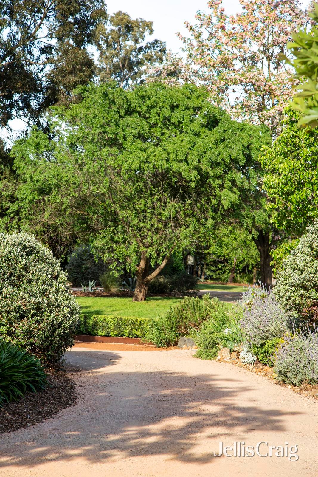 74 Meander Road, Hurstbridge image 27