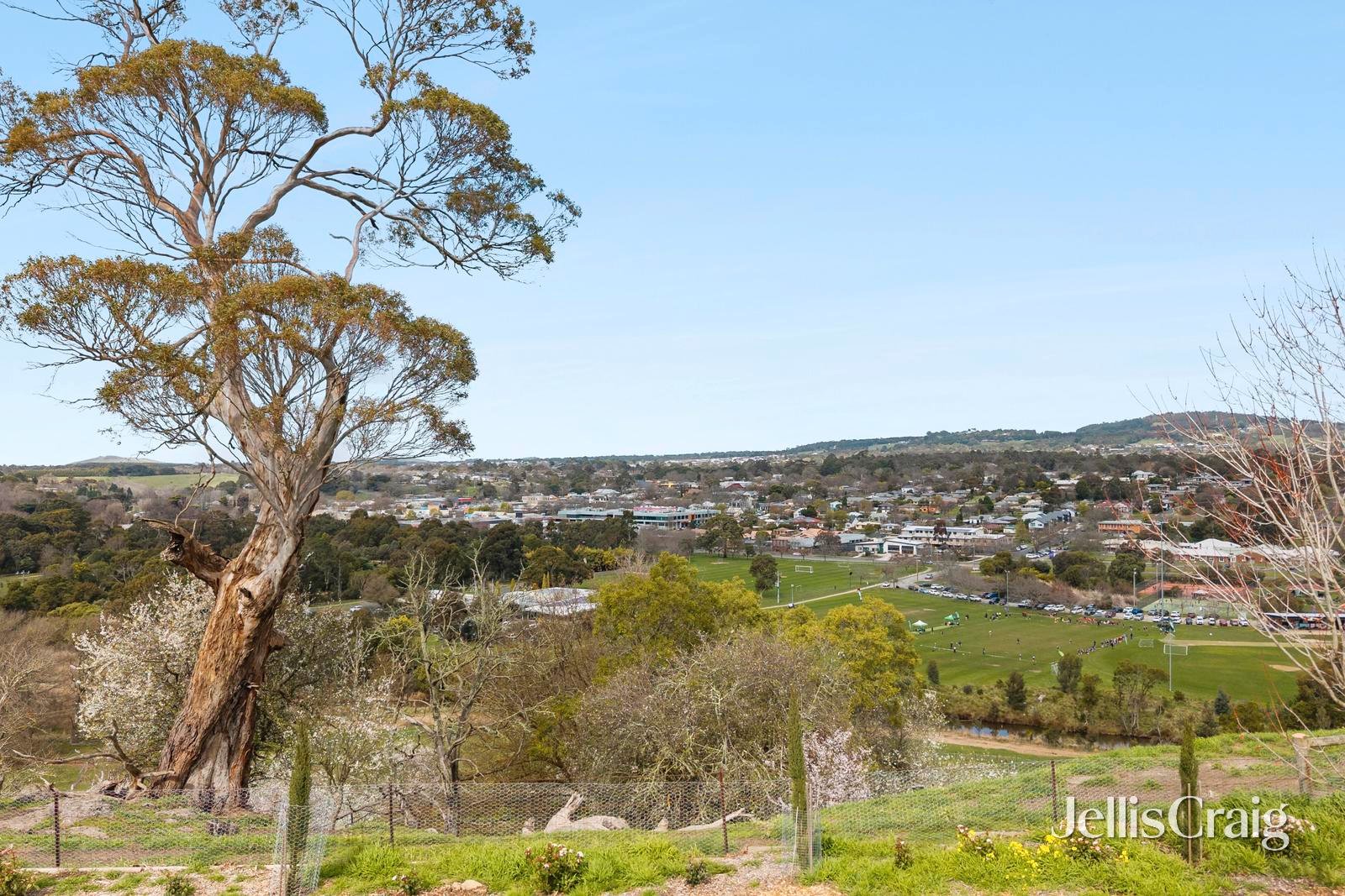 74 Skyline Drive, Gisborne image 16