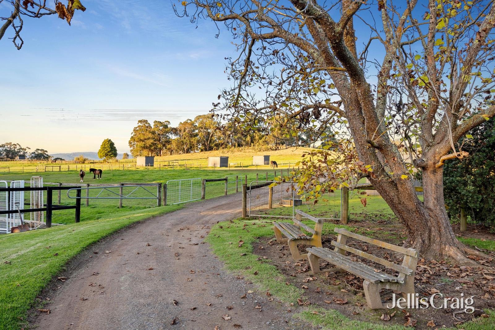 741 Warburton Highway, Seville image 15