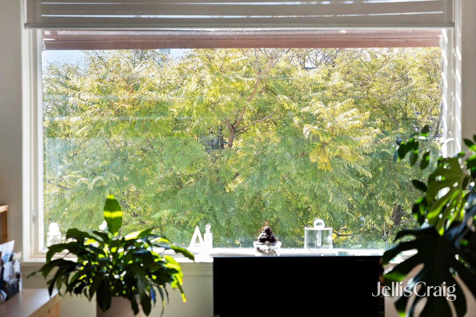7/45 Shelley Street, Elwood image 12