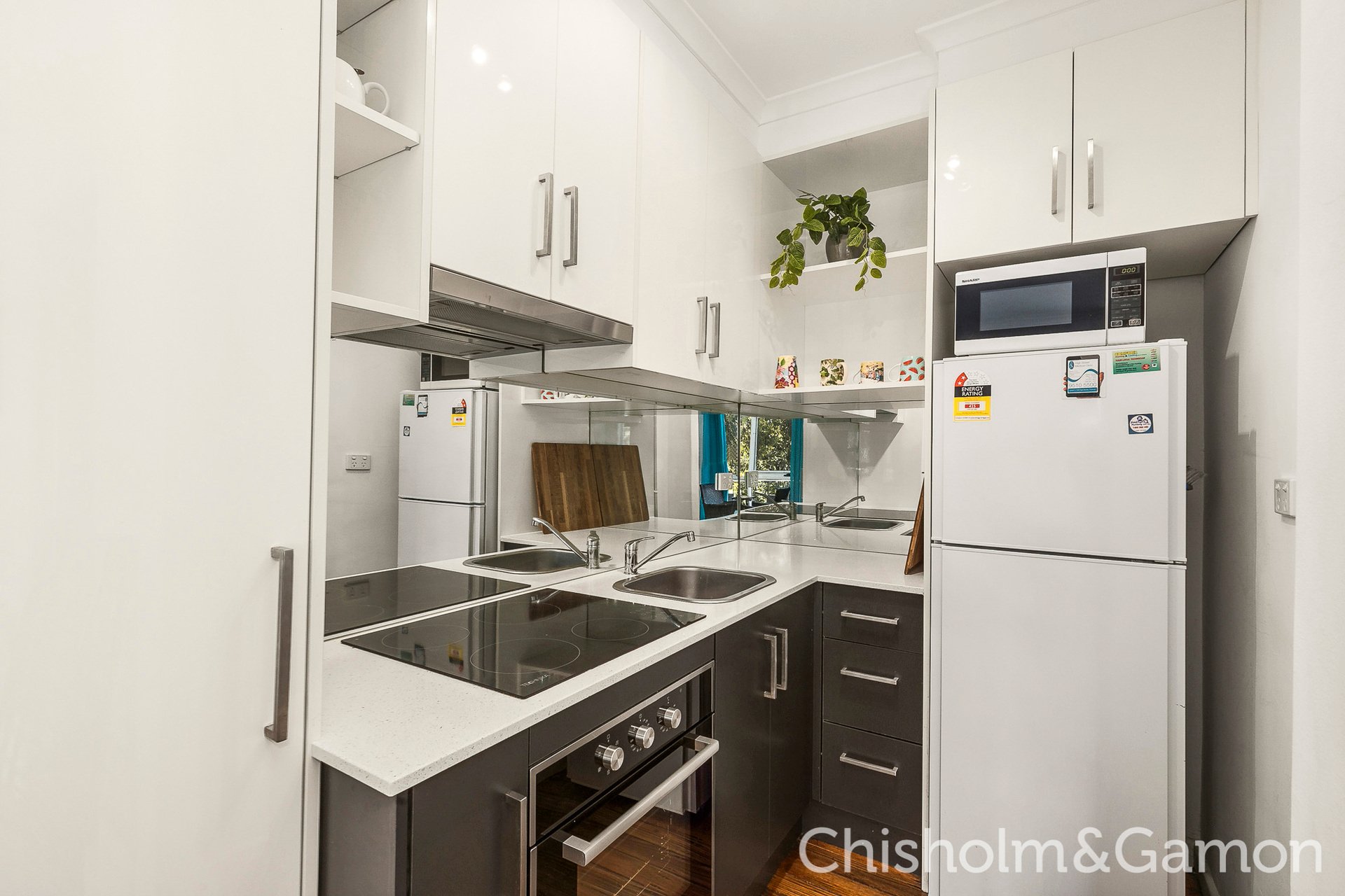 7/48 Magnolia Road, Gardenvale image 4