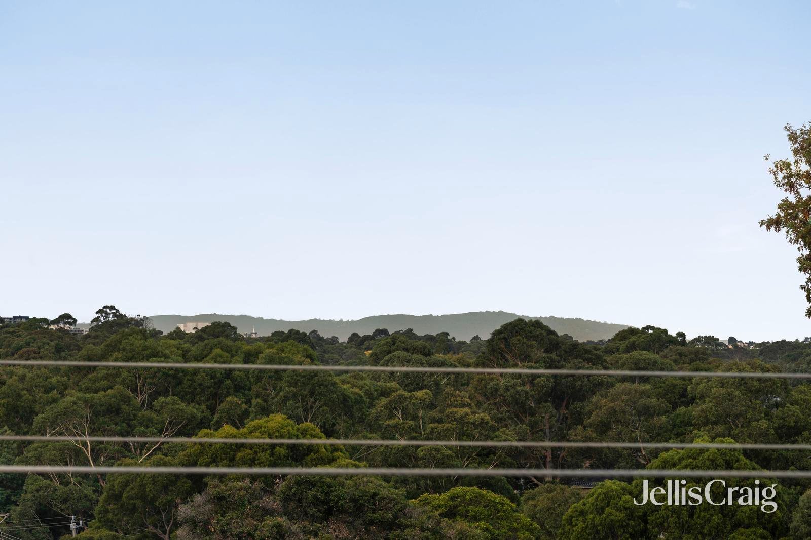 74B Albert Street, Mount&nbsp;Waverley image 17