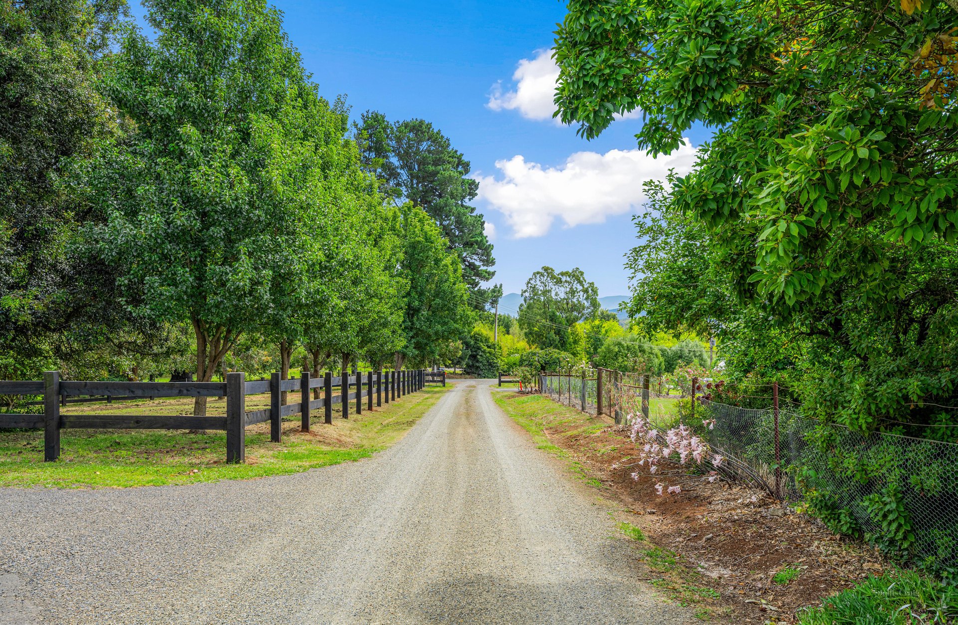 75 De Lancey Road, Wandin North image 28