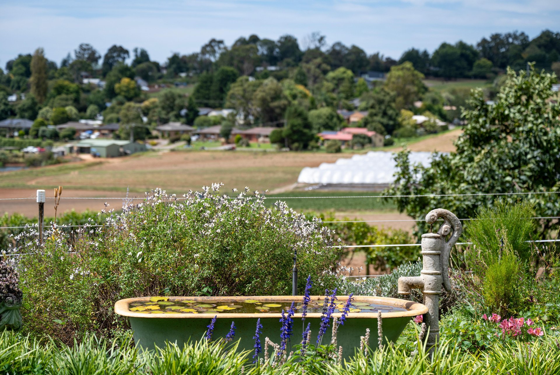 75 De Lancey Road, Wandin North image 32