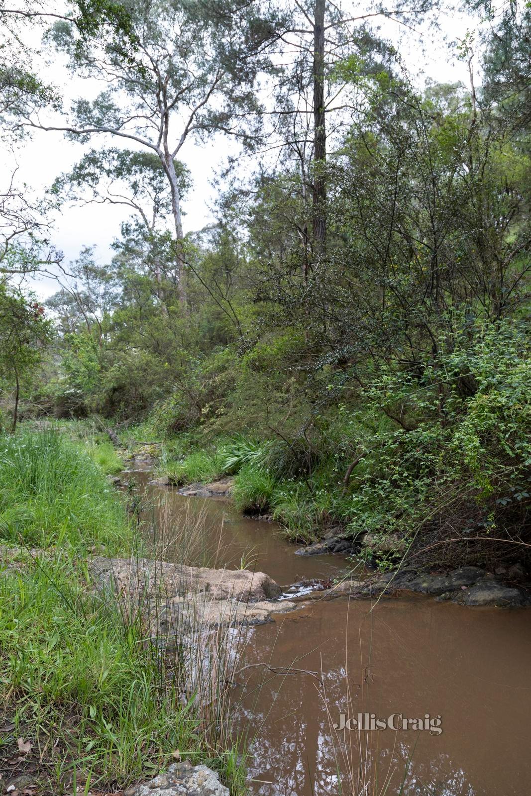 75 Red Shirt Gully Road, Cottles Bridge image 14