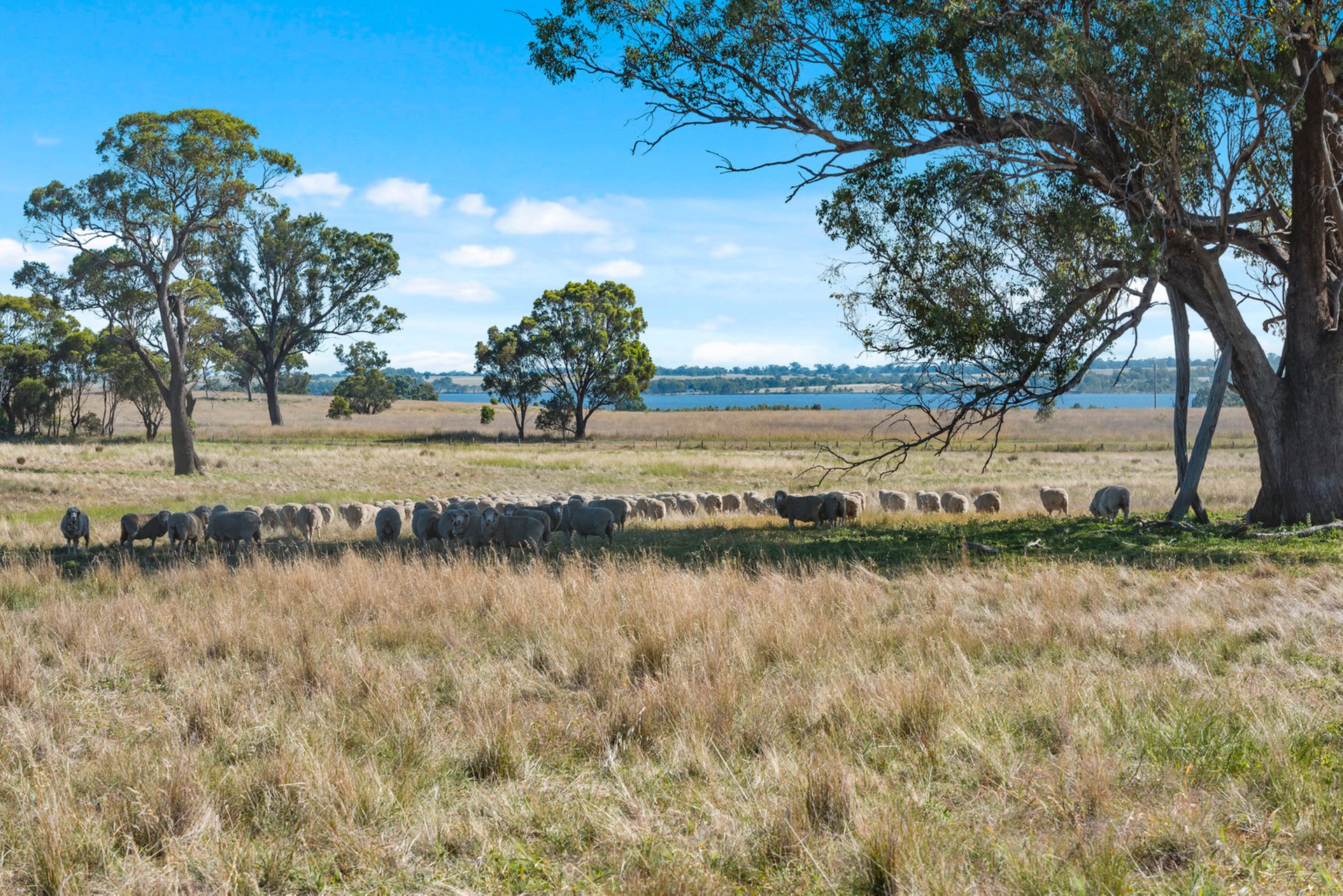 Property Gallery Thumbnail 29
