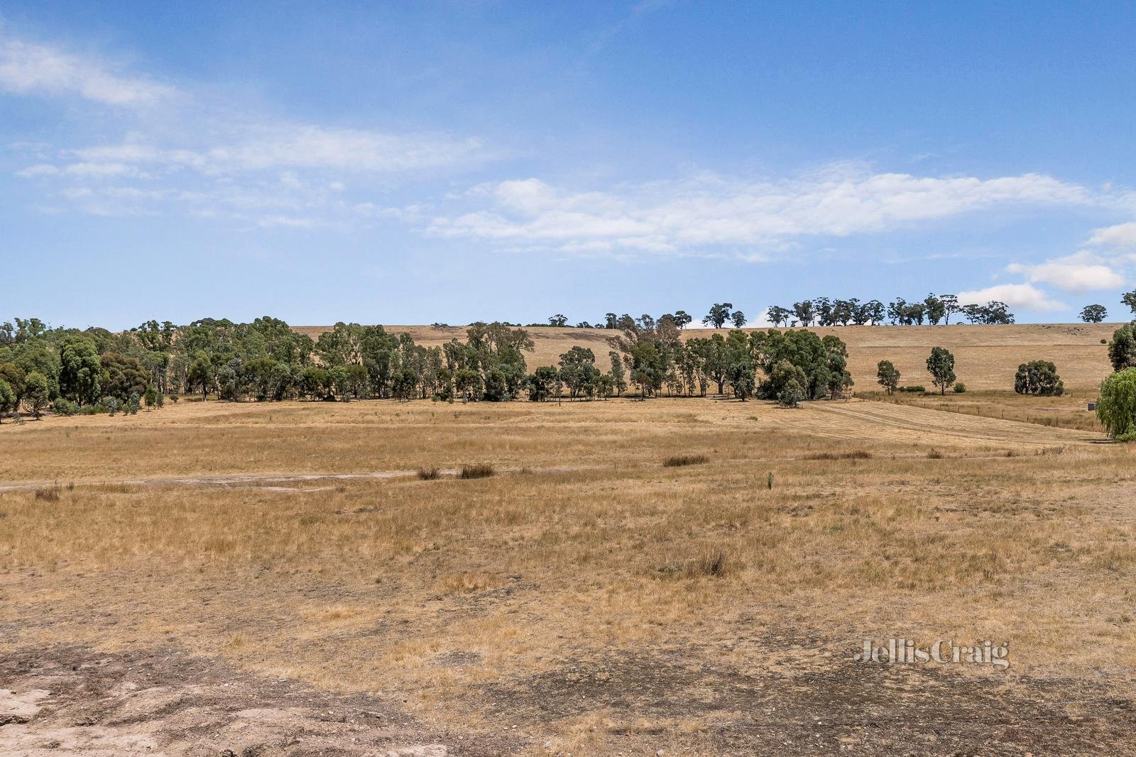 753 Creswick Newstead Road, Sandon image 14