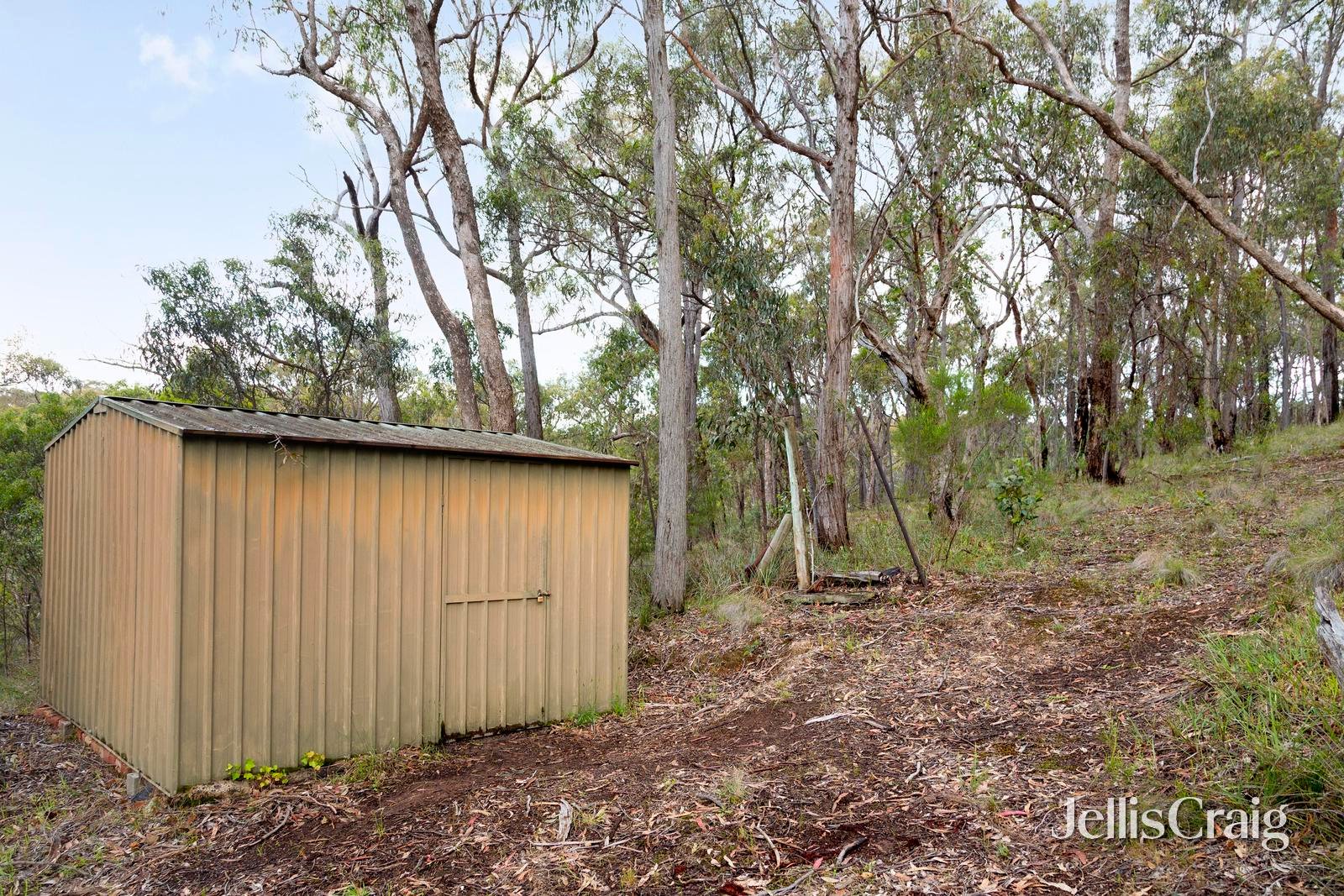 76 St Andrews Street, St Andrews image 8