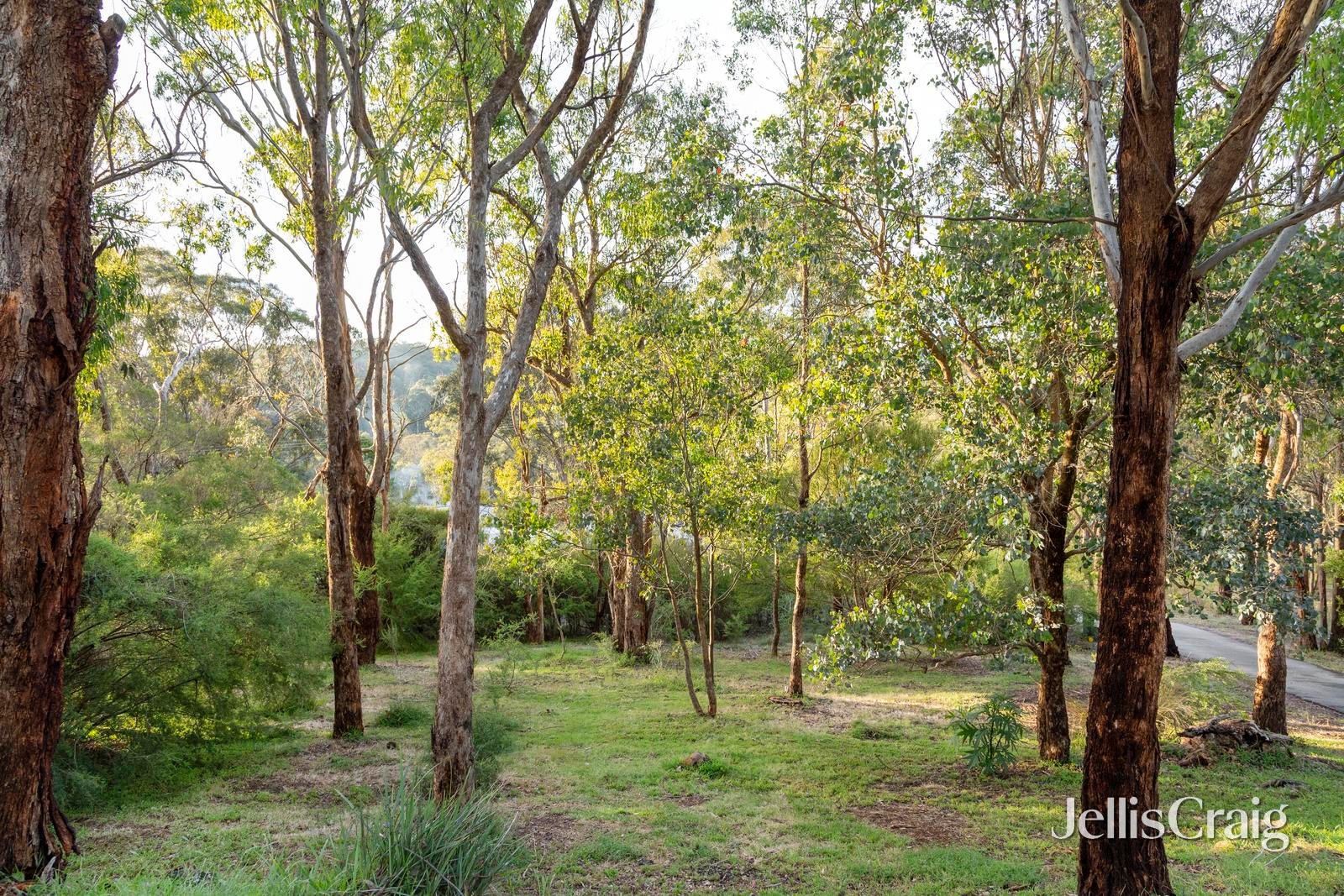 76 St Andrews Street, St Andrews image 10