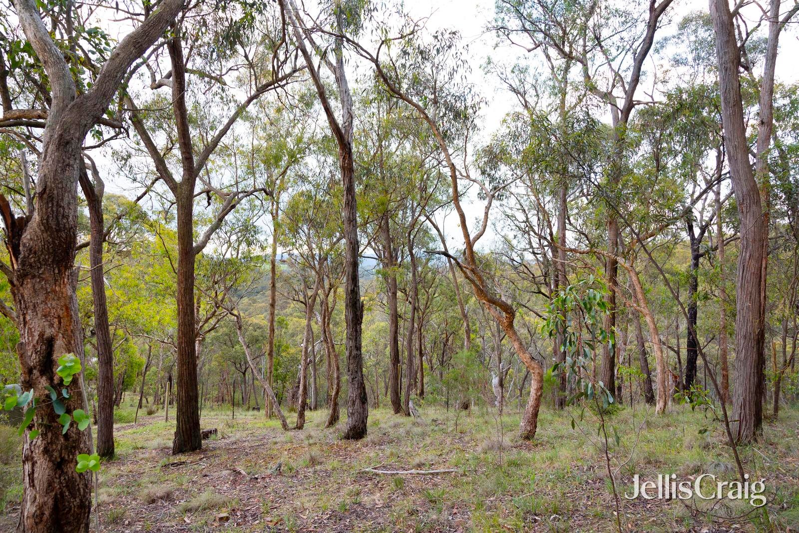 76 St Andrews Street, St Andrews image 21
