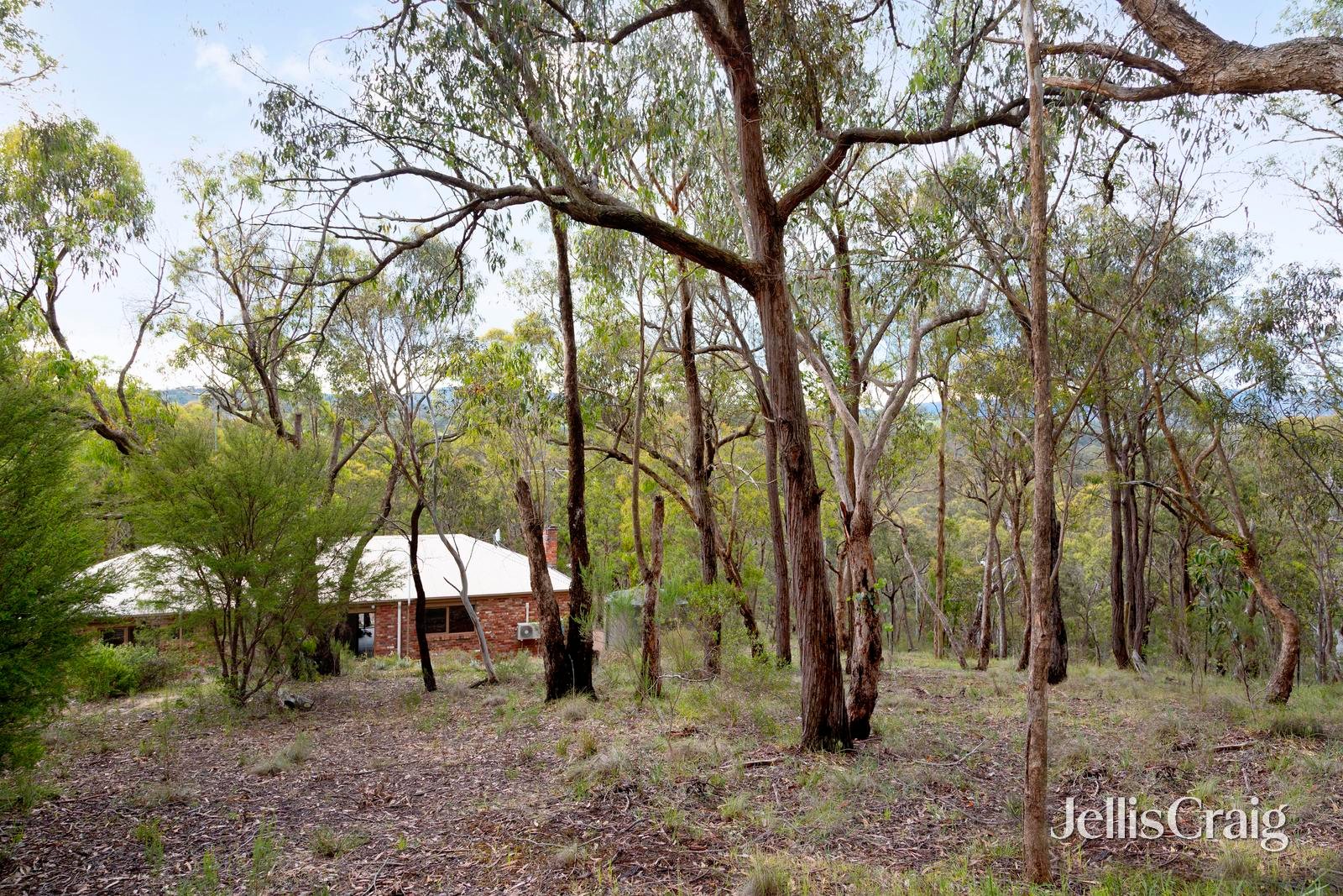 76 St Andrews Street, St Andrews image 22