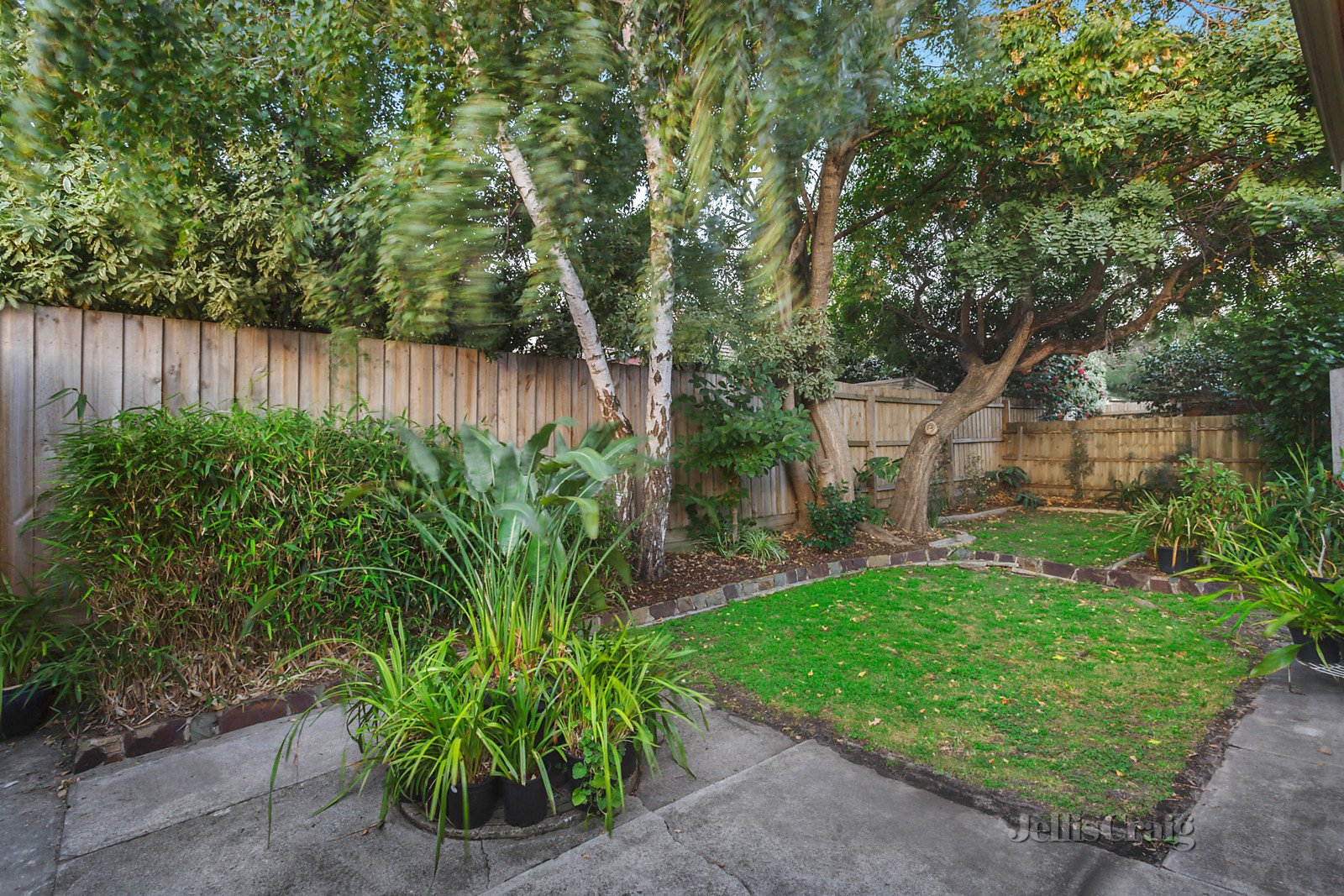 767 Riversdale Road, Camberwell image 7
