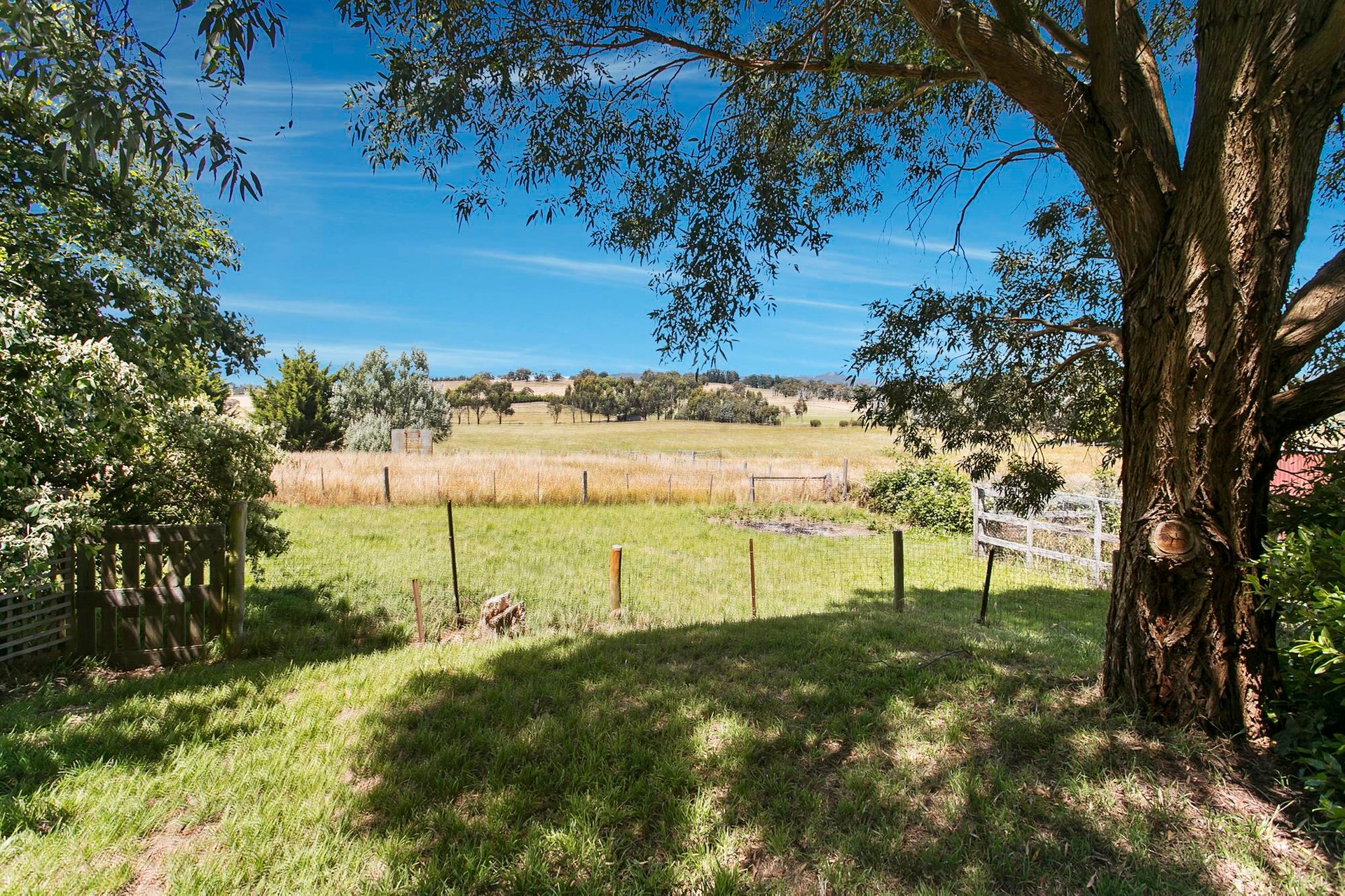 767 Rochford Road, Rochford image 6