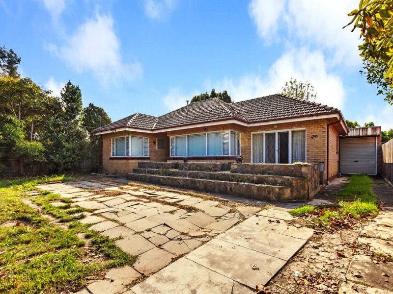 77 Albion Road, Box Hill image 4