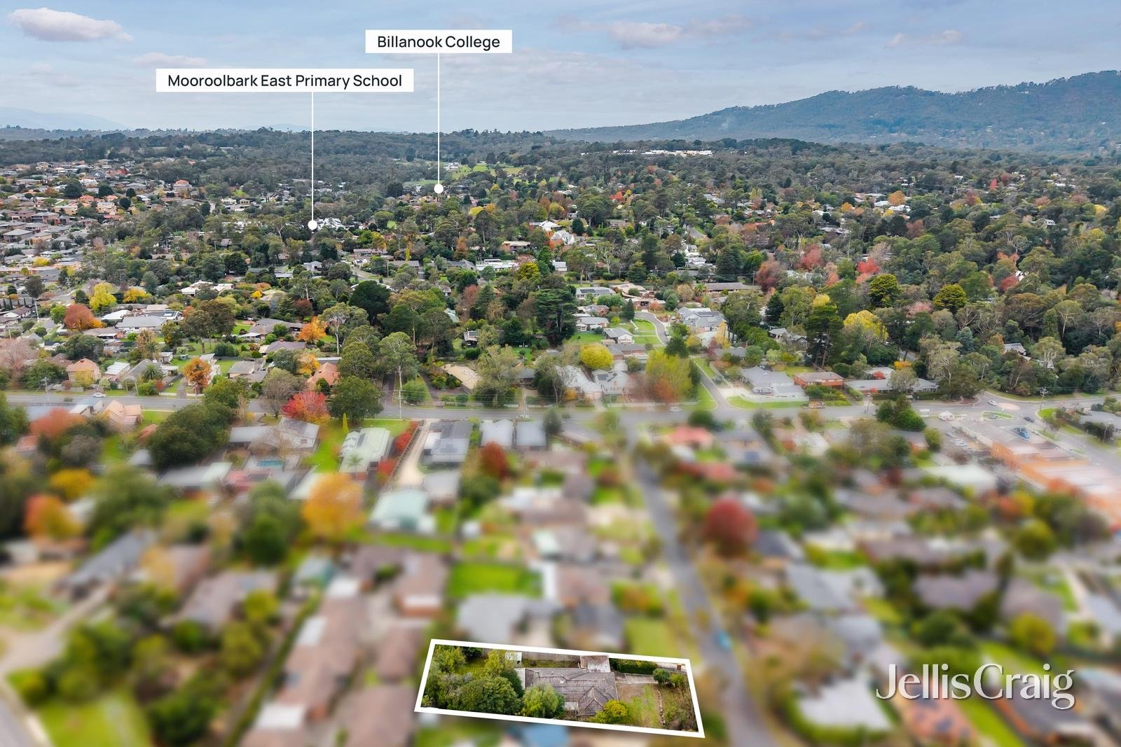 77 Kipling Avenue, Mooroolbark image 17