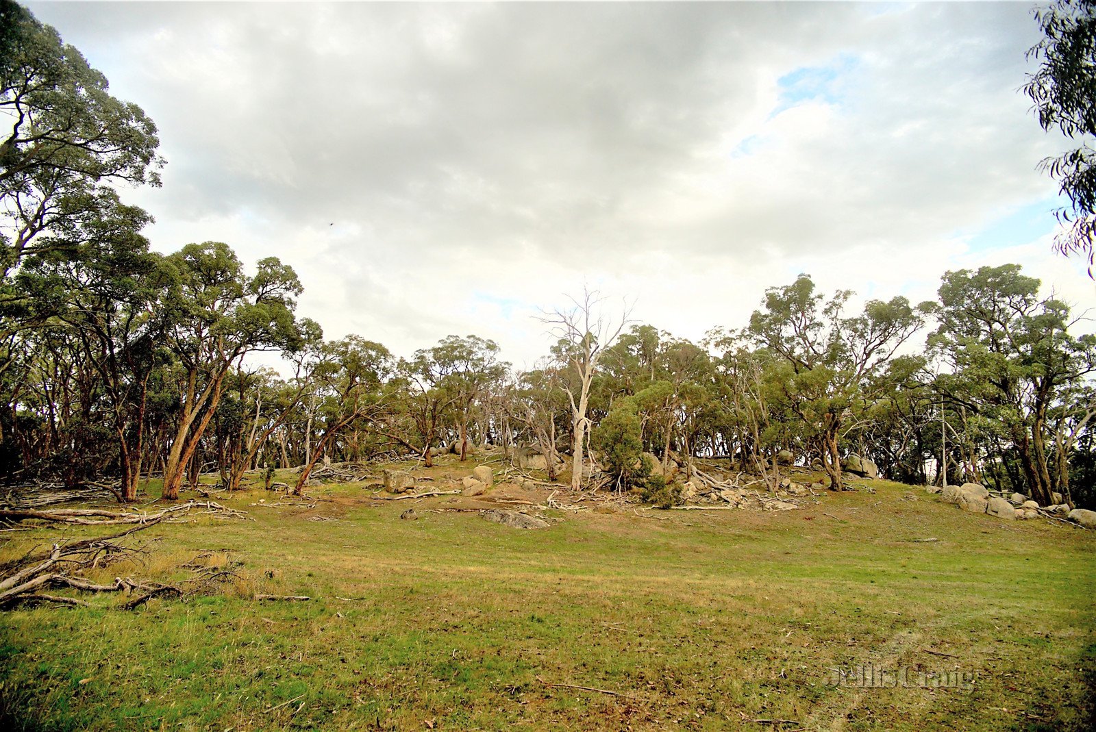 776 Pipers Creek Road, Pipers Creek image 11