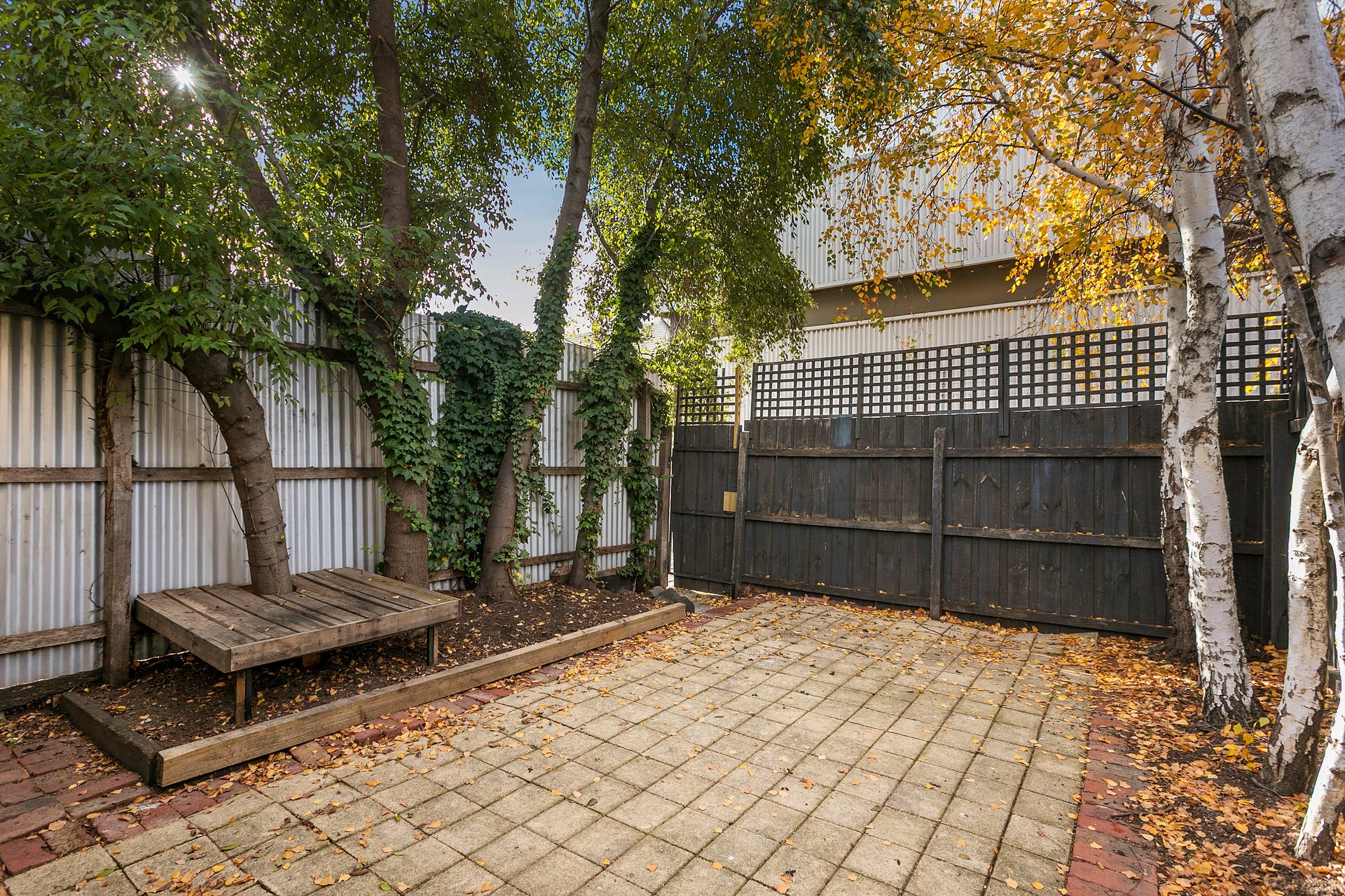 79 Barnett Street, Kensington image 6