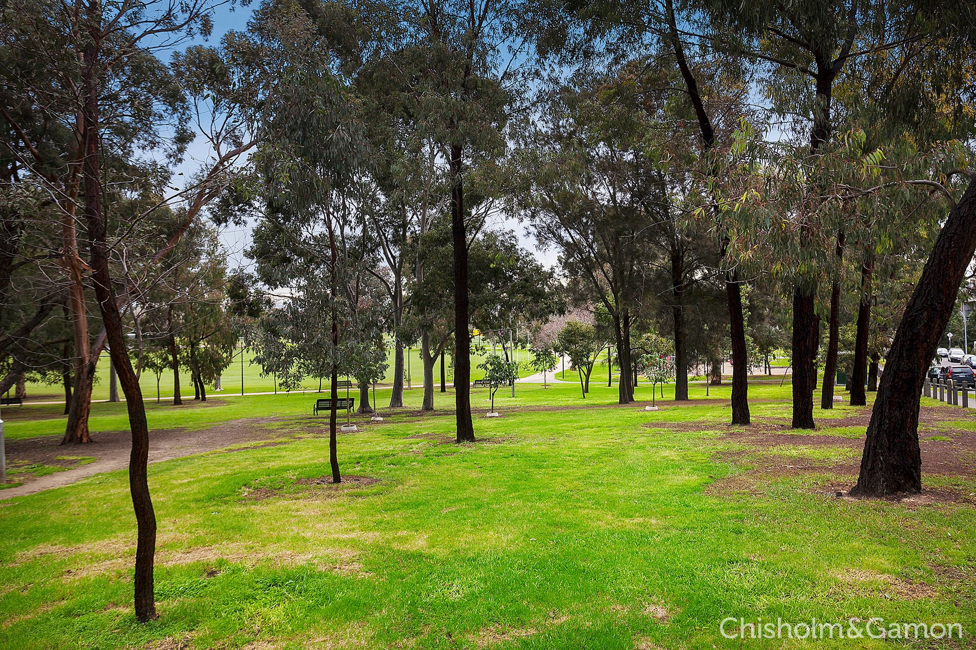 79 Barnett Street, Kensington image 10