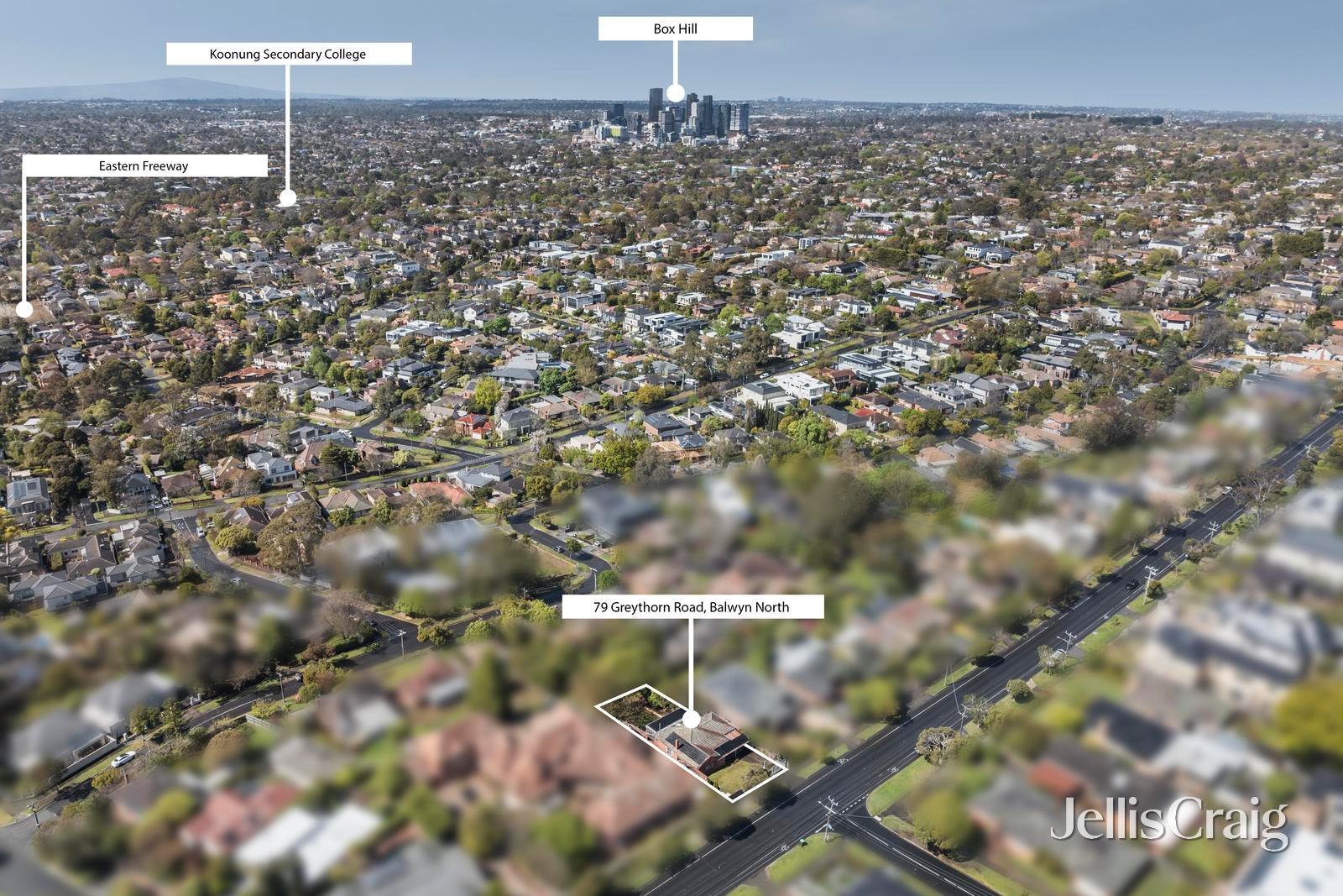 79 Greythorn Road, Balwyn North image 7