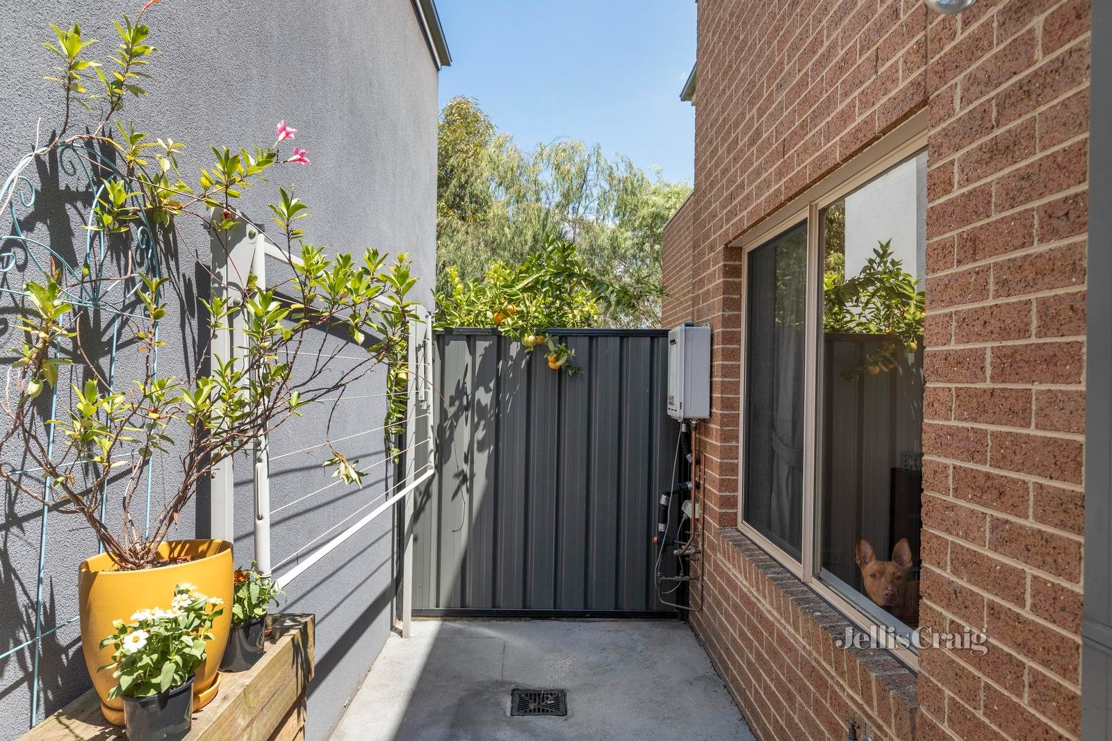 7/9 Kincaid Drive, Mernda image 10