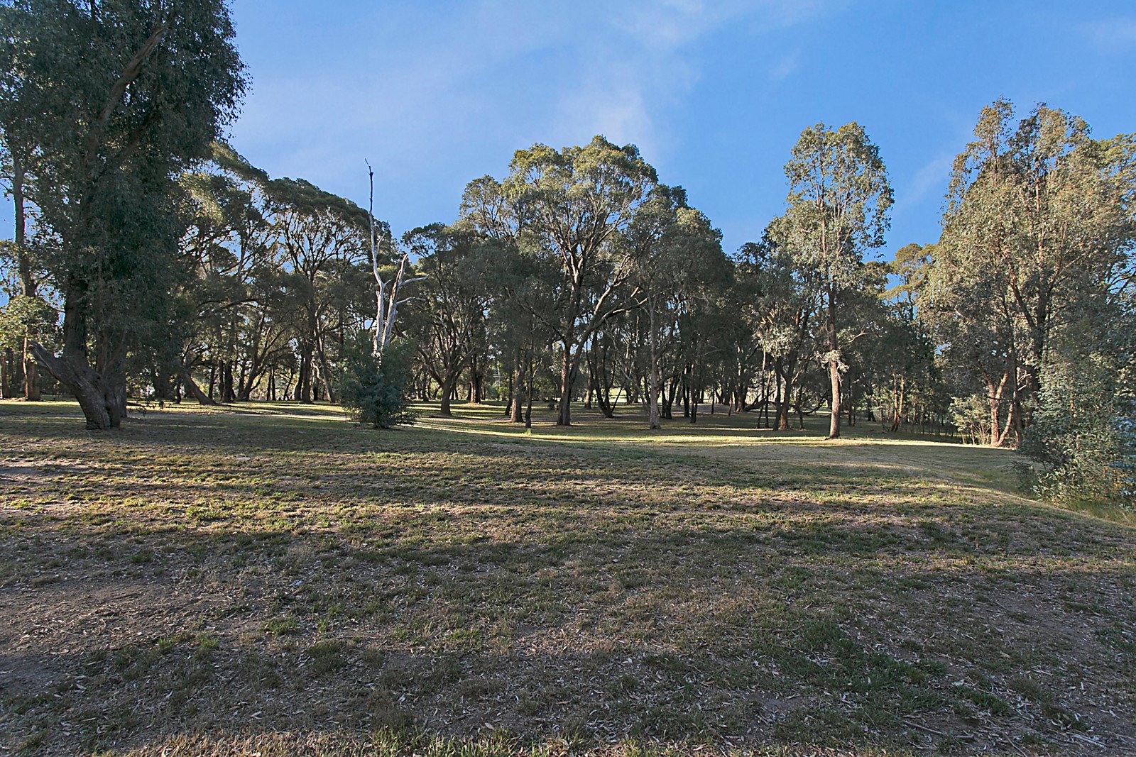 79 Montgomerys Lane, Woodend image 8