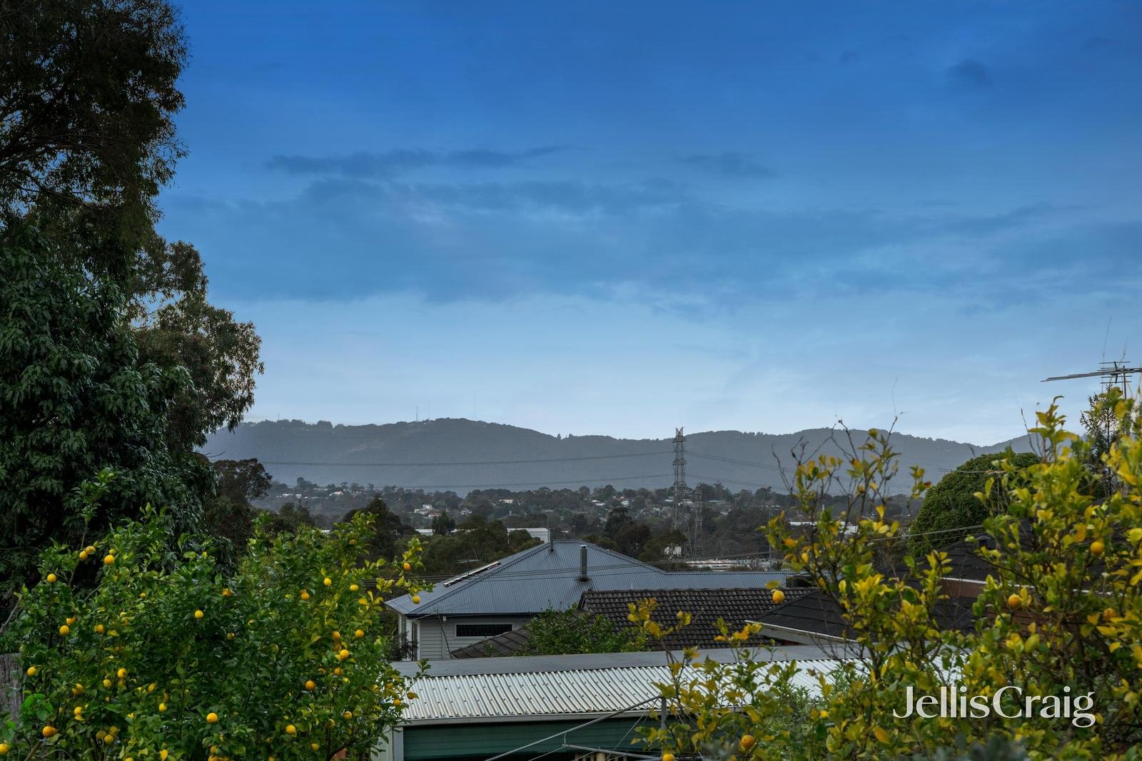 79 Orient Avenue, Mitcham image 15