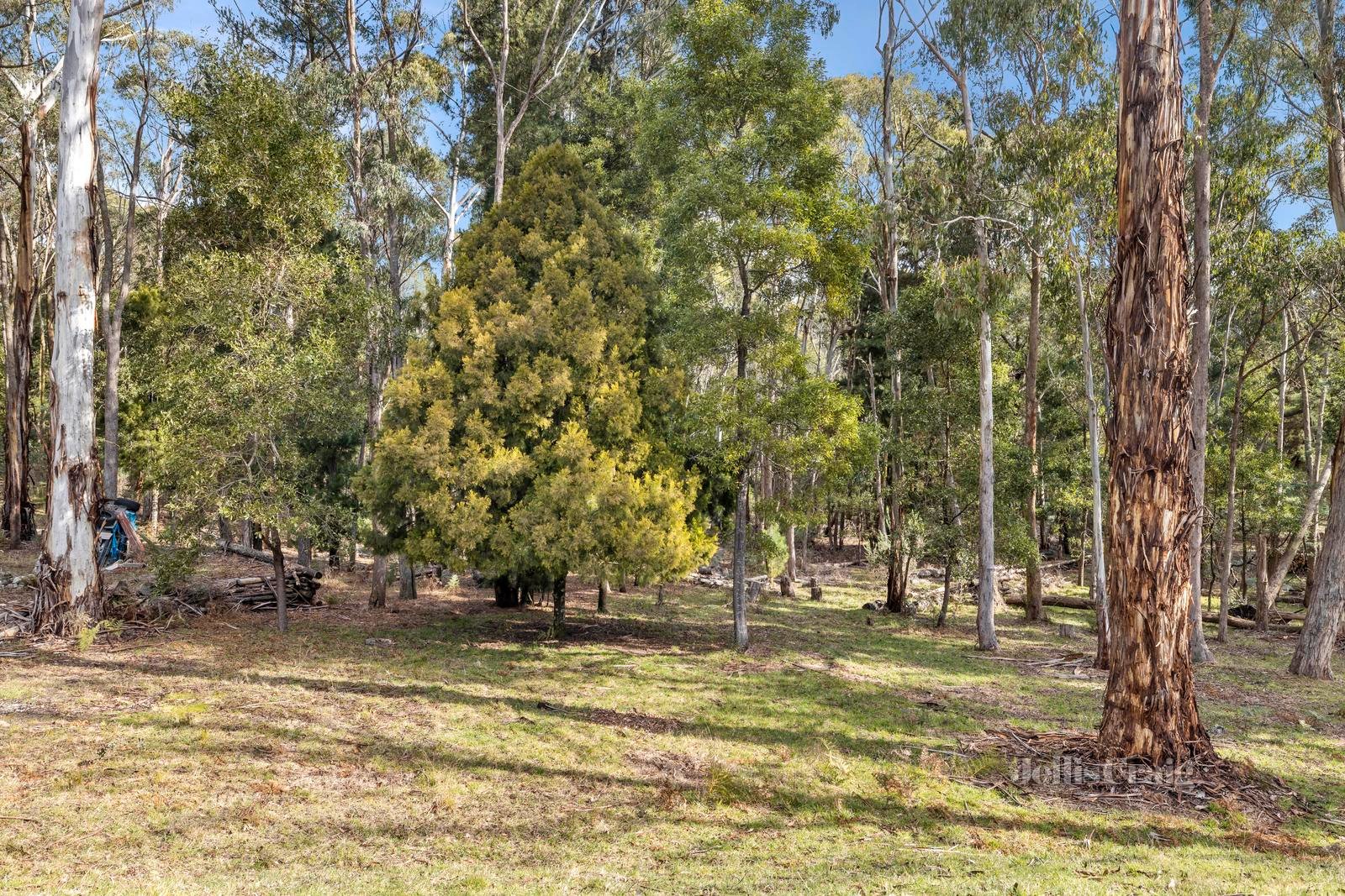 79 Spencer Road, Woodend image 3
