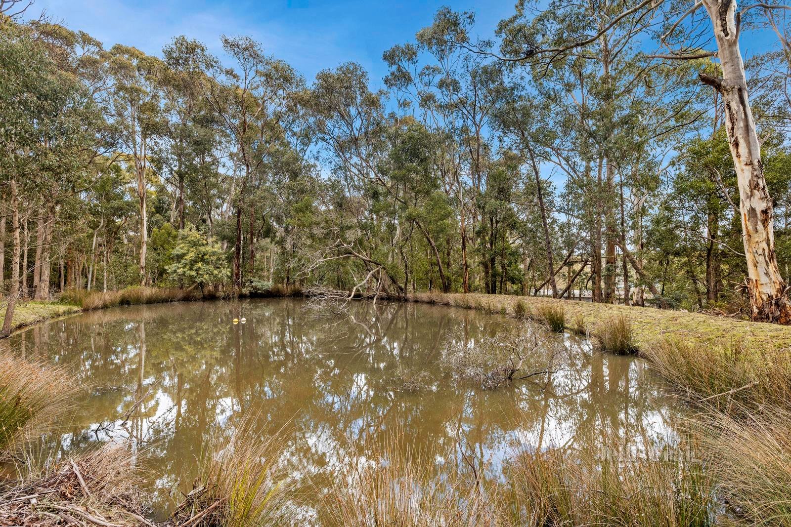79 Spencer Road, Woodend image 6