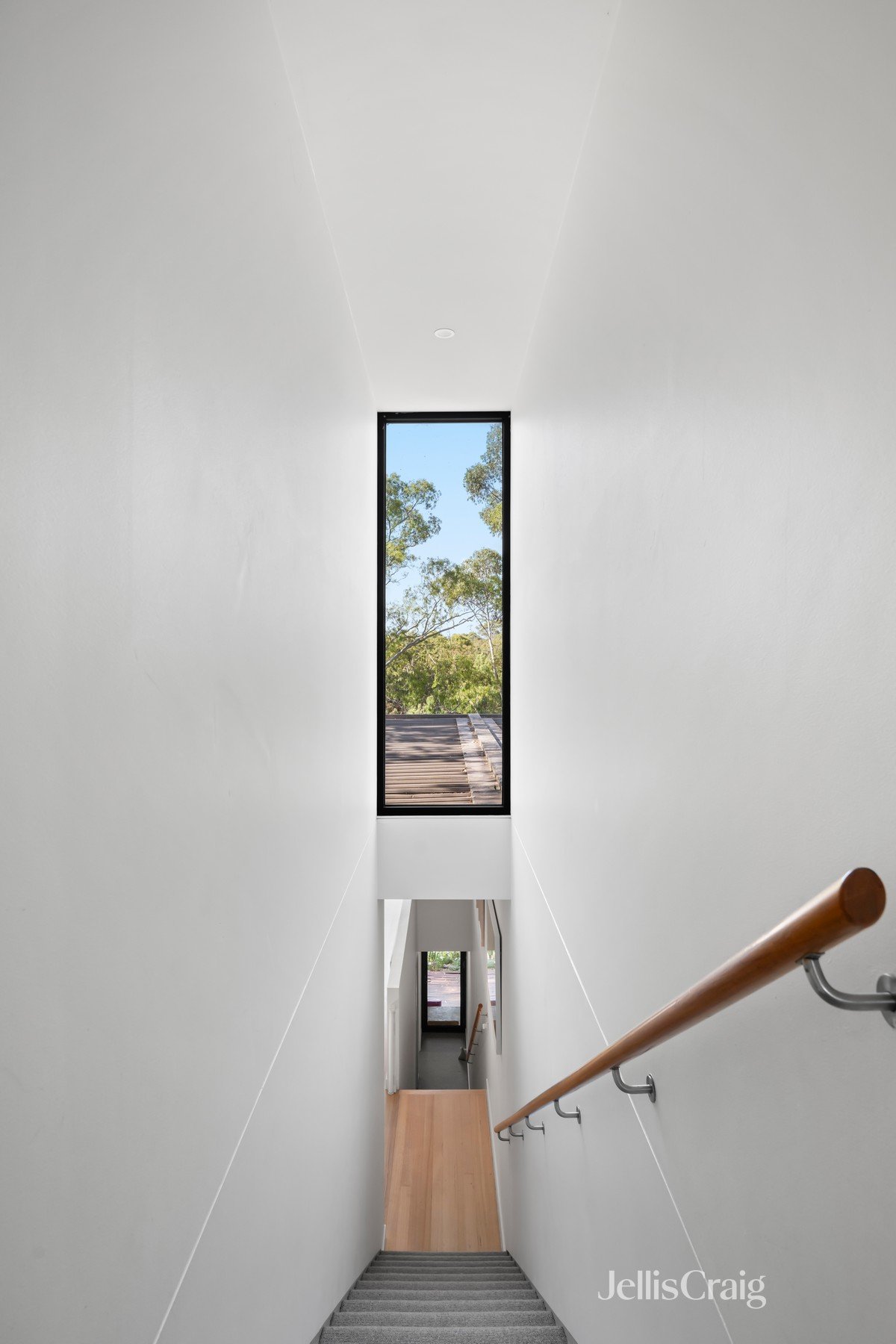 7D Park Crescent, Fairfield image 9