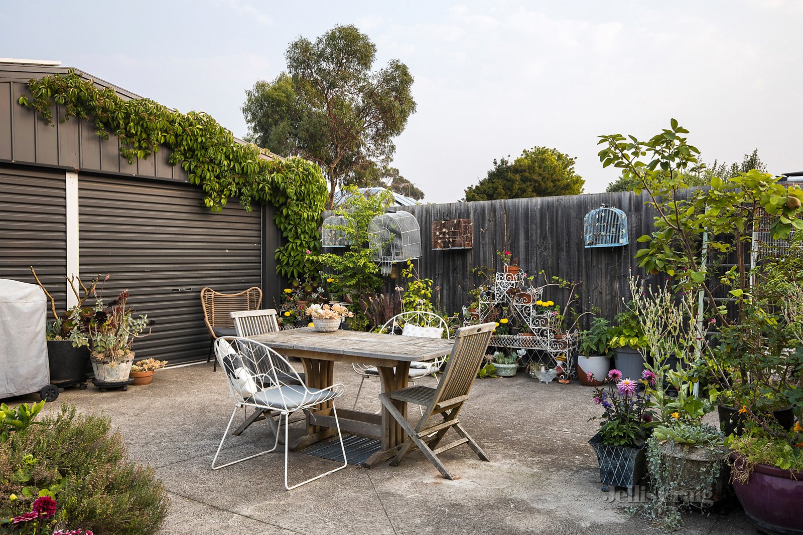 8 Adler Grove, Coburg North image 14