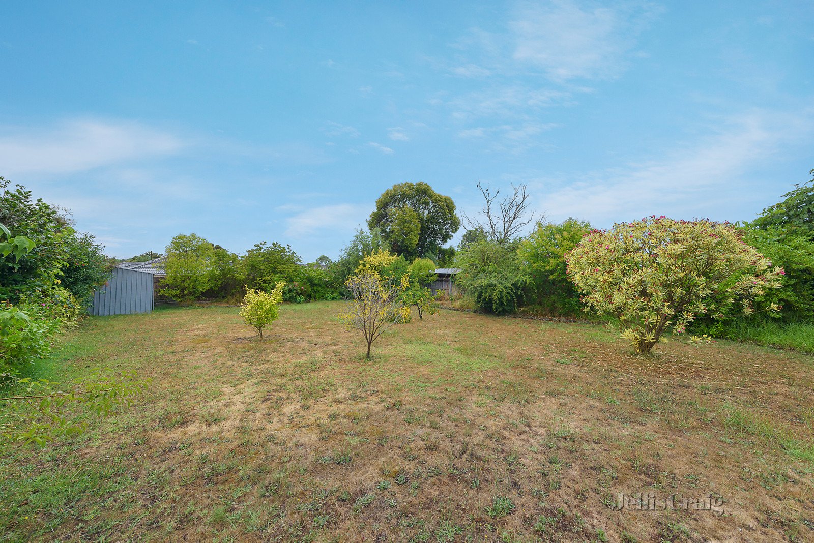 8 Blanche Court, Doncaster East image 4