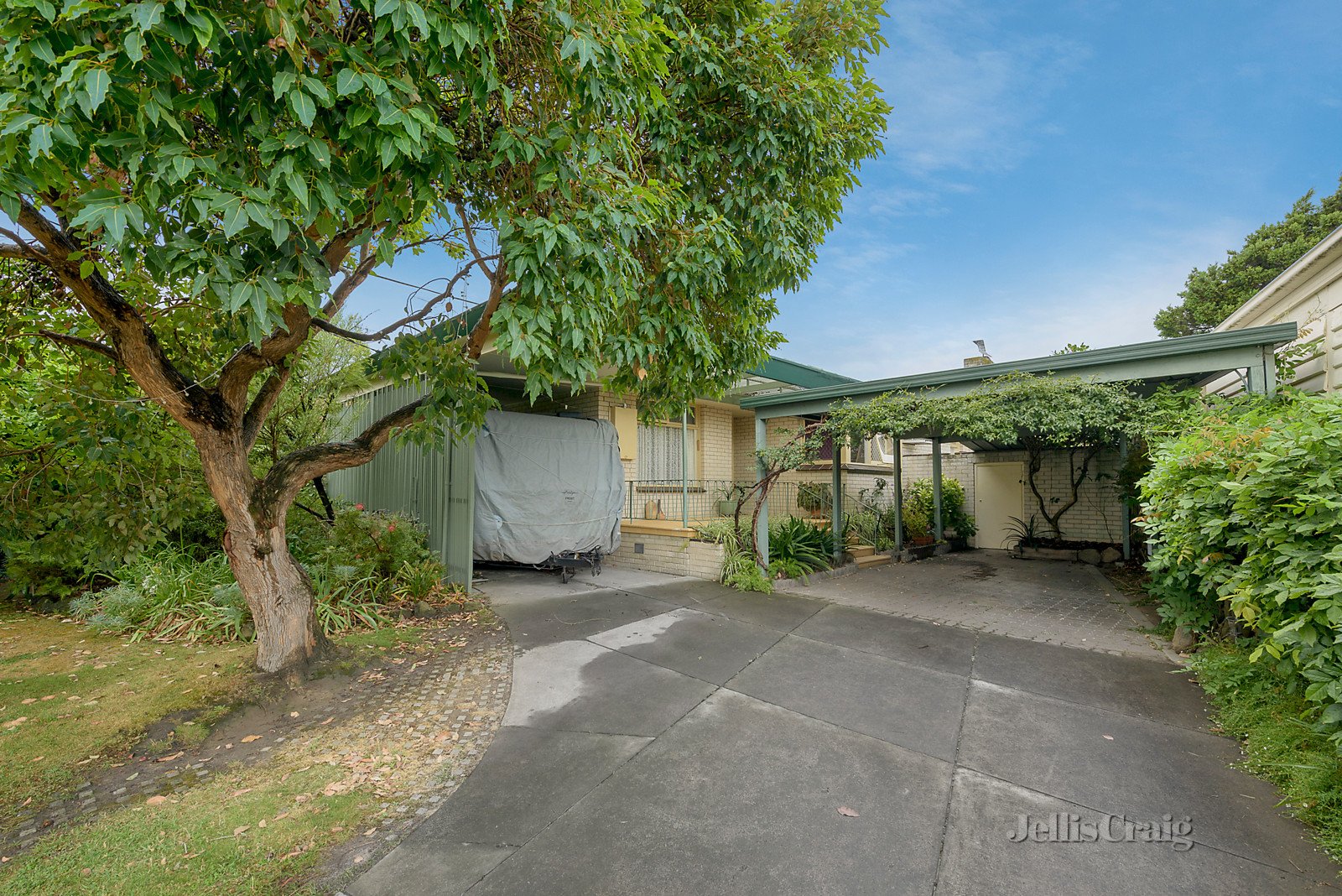 8 Blanche Court, Doncaster East image 5