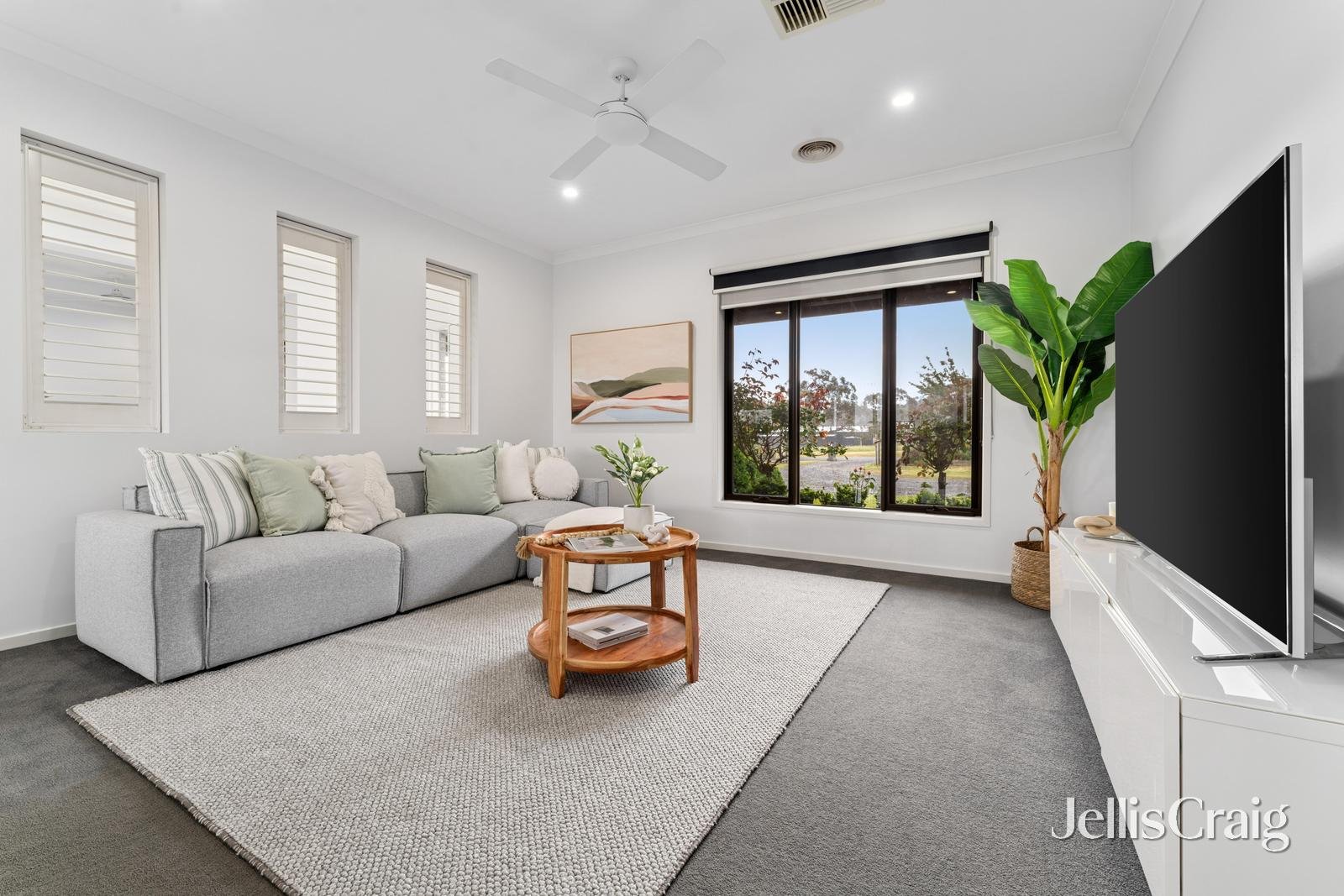 8 Bothe Place, Haddon image 3