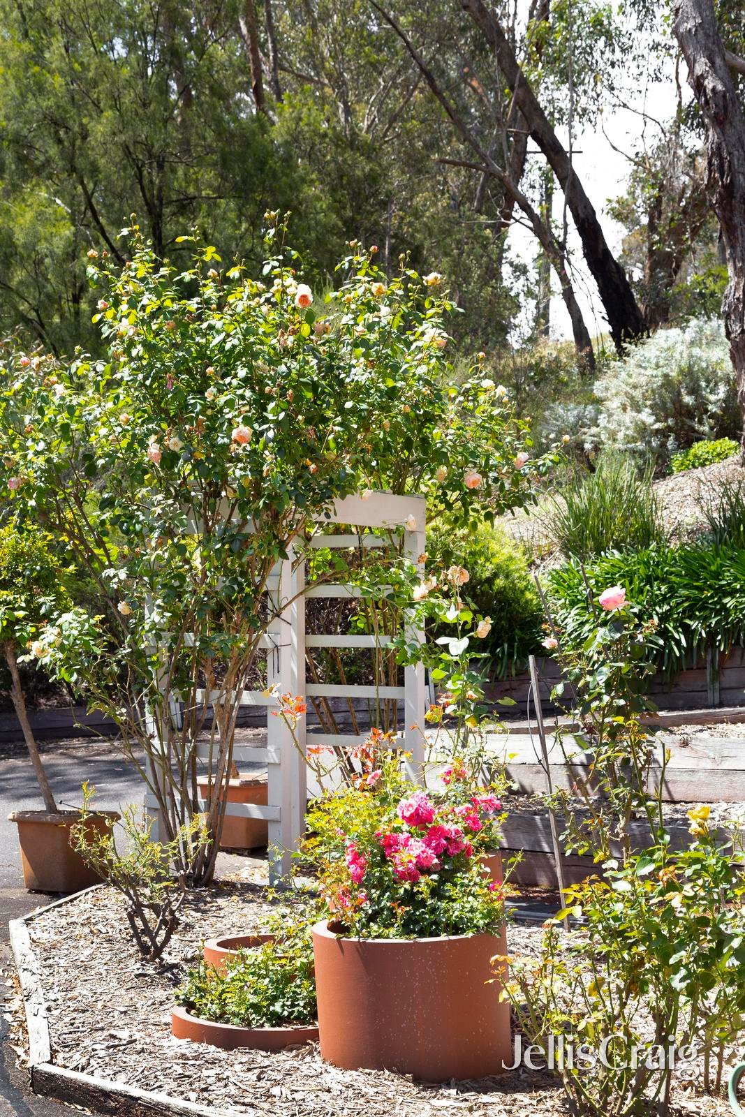 8 Chaim Court, Donvale image 17