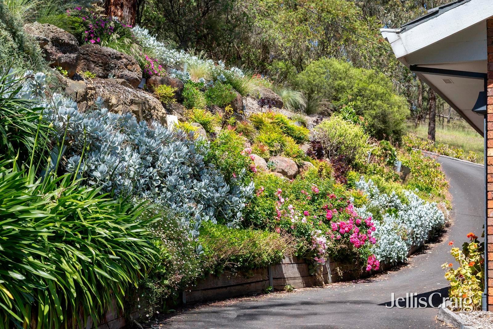 8 Chaim Court, Donvale image 18