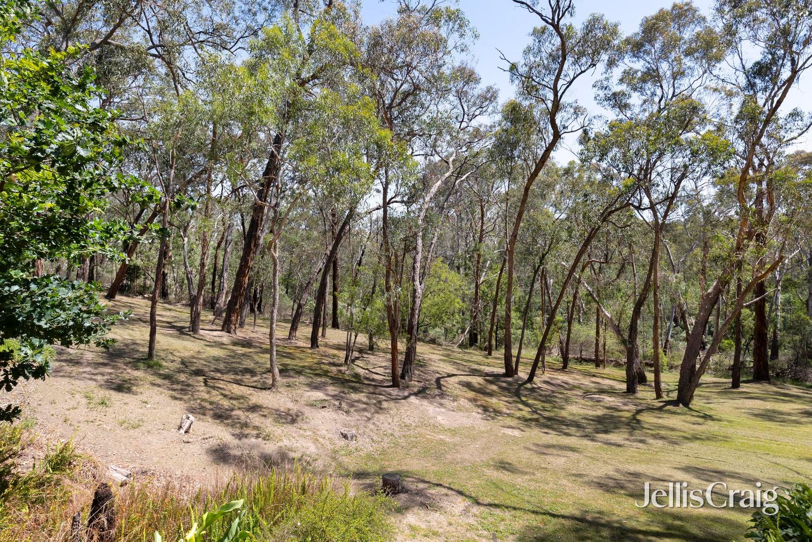 8 Chaim Court, Donvale image 23