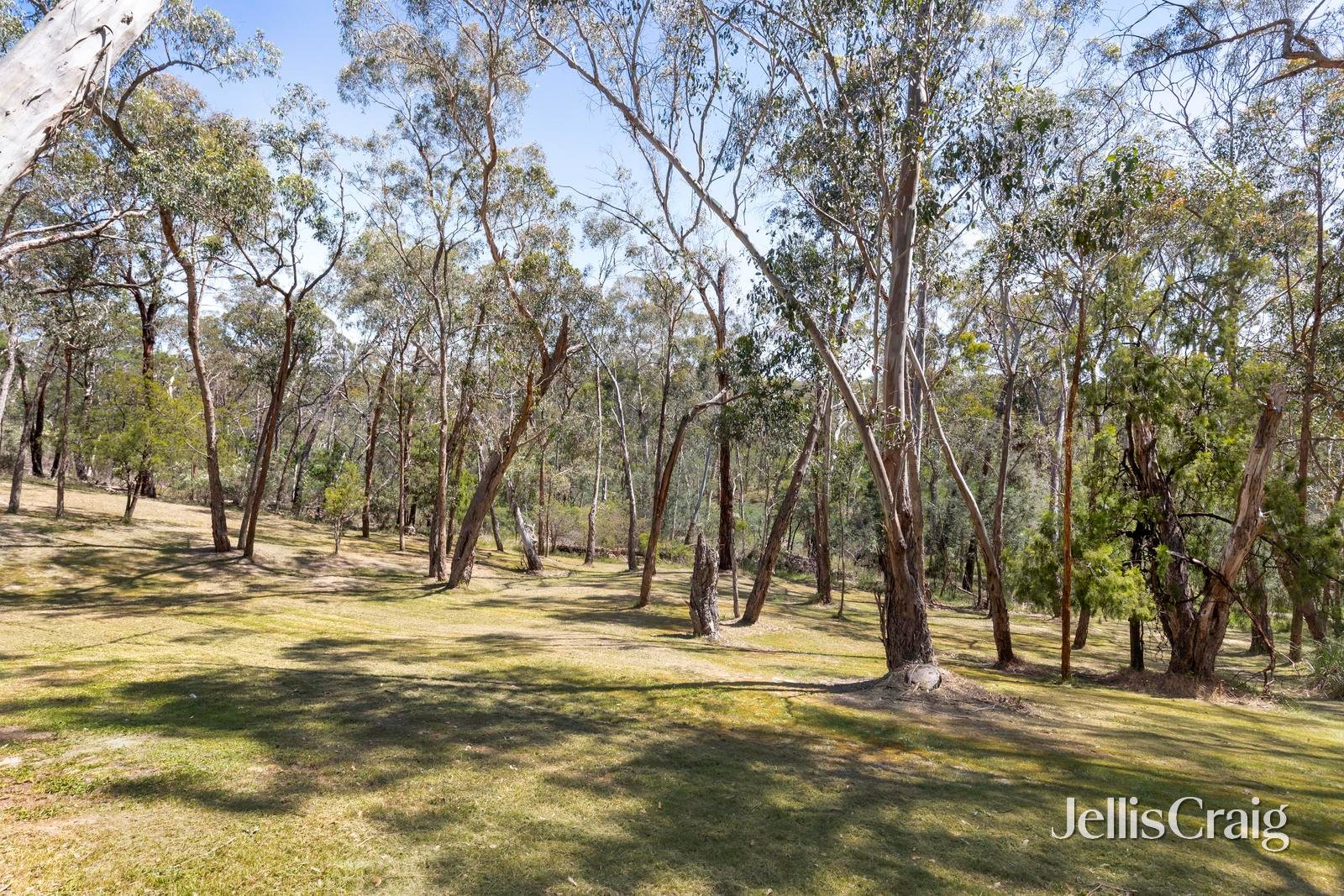 8 Chaim Court, Donvale image 24