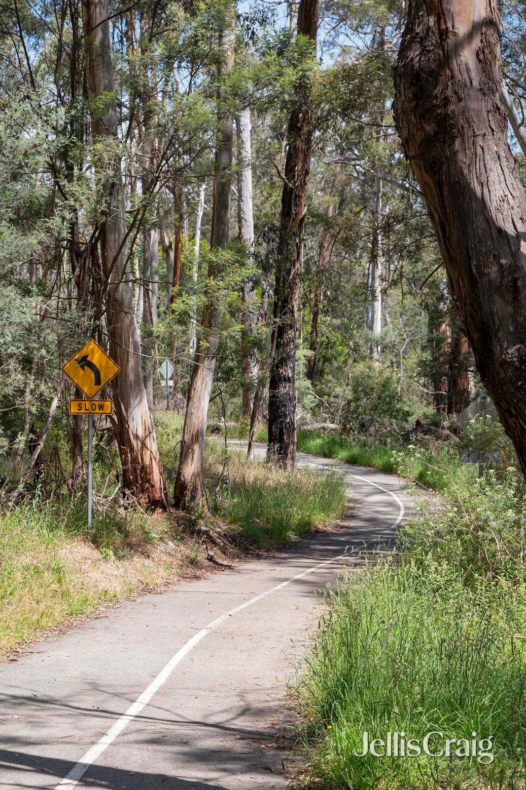 8 Chaim Court, Donvale image 25