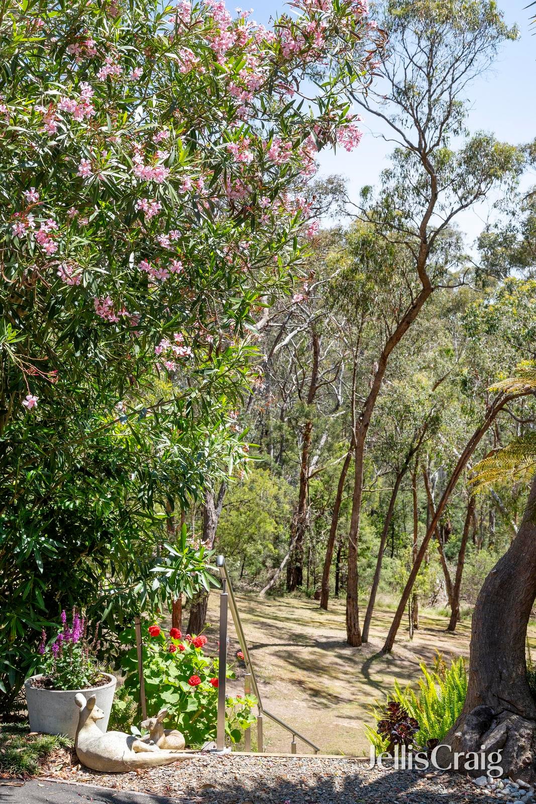 8 Chaim Court, Donvale image 26