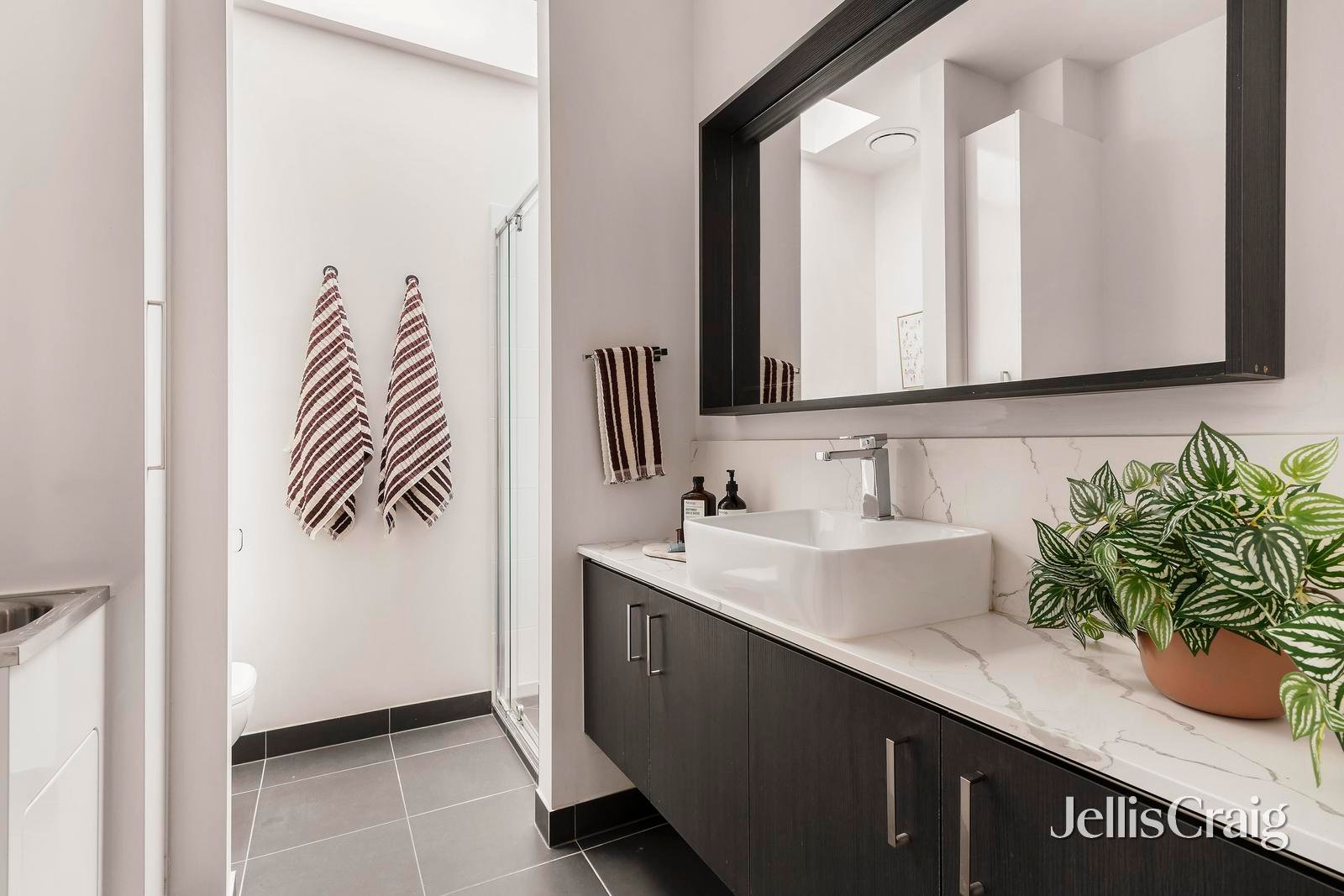 8 Clare Lane, Kensington image 8