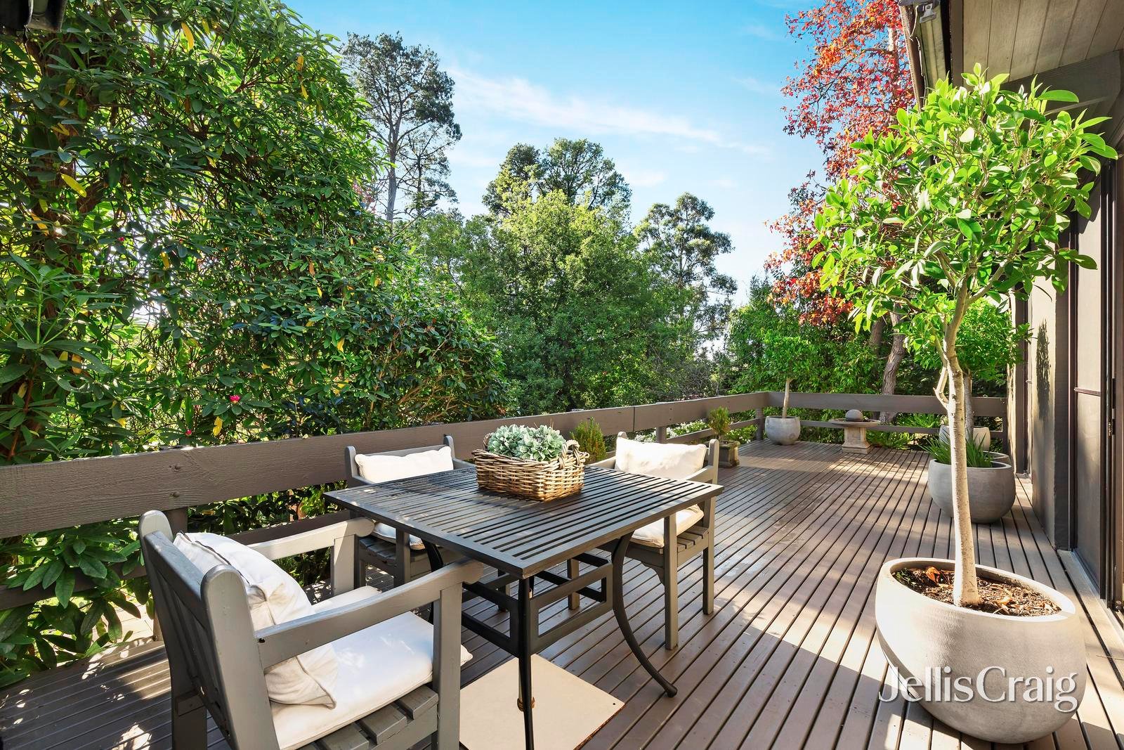 8 Conway Avenue, Donvale image 17