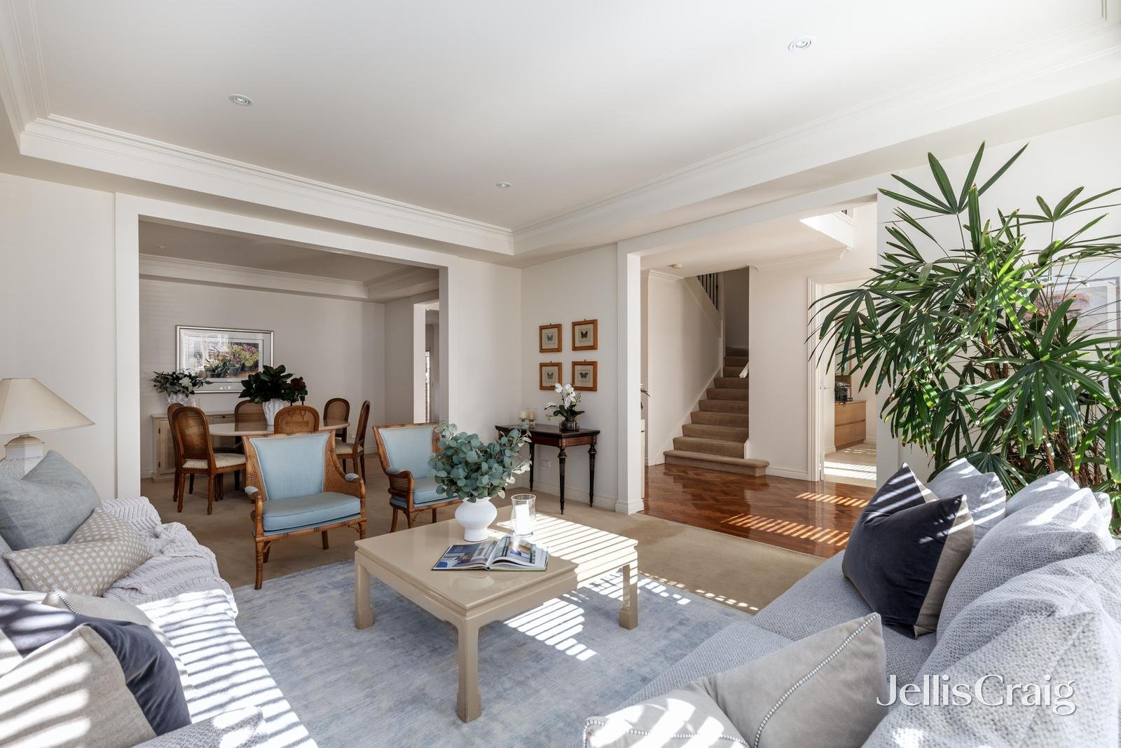 8 Crown Avenue, Camberwell image 5