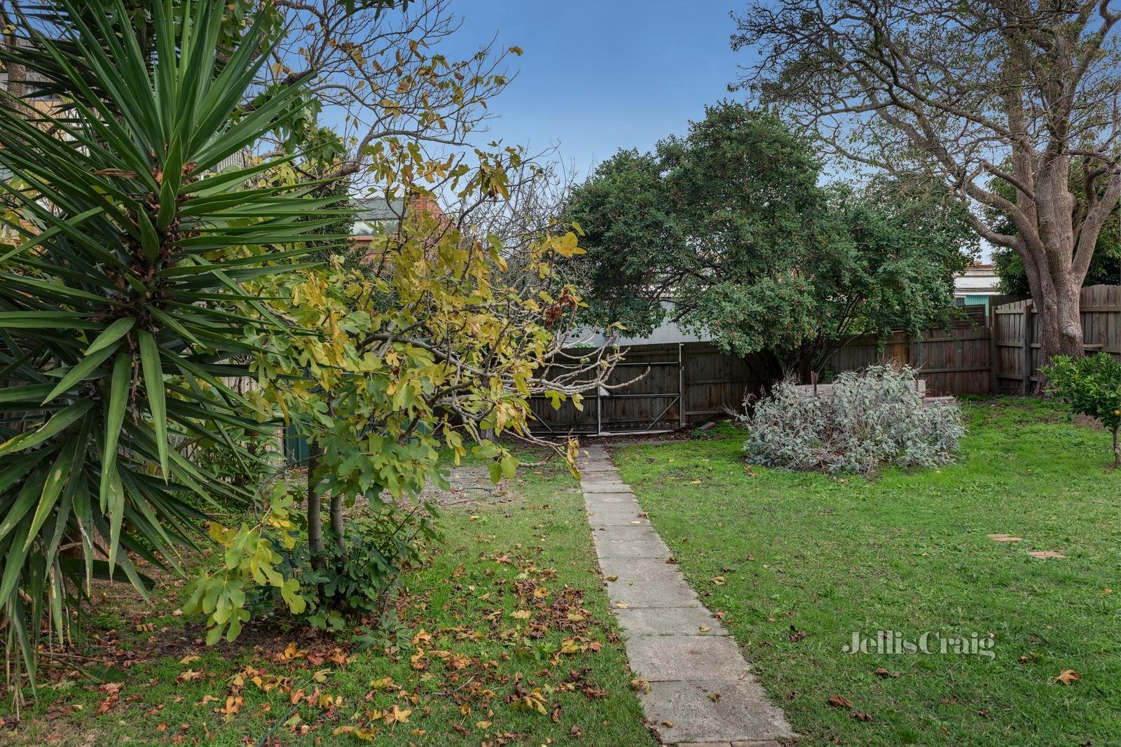 8 Curlewis Street, Mont Albert image 12