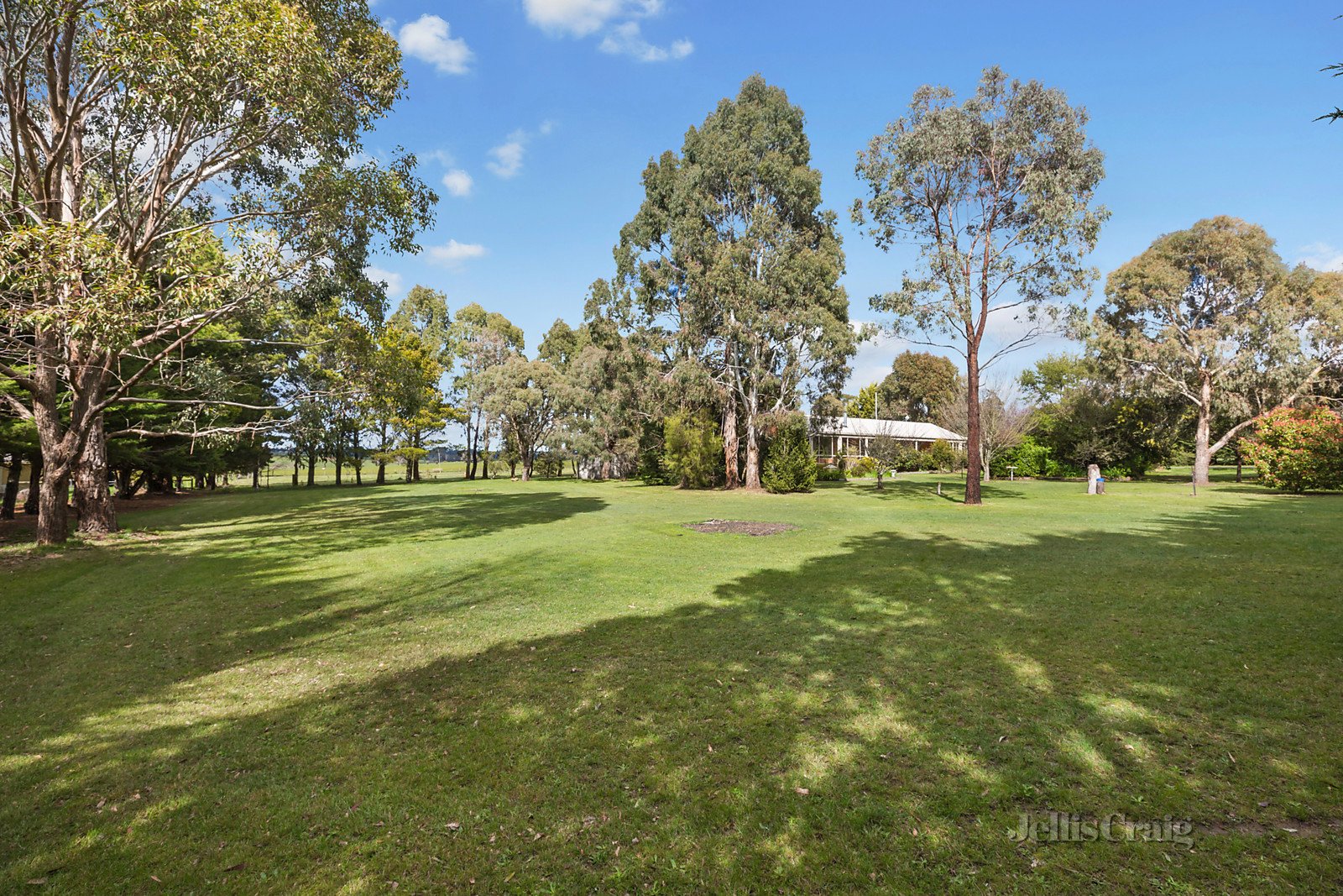 8 Ewing Street, Tylden image 10