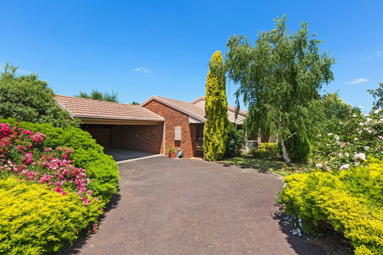 Property Gallery - Main Image
