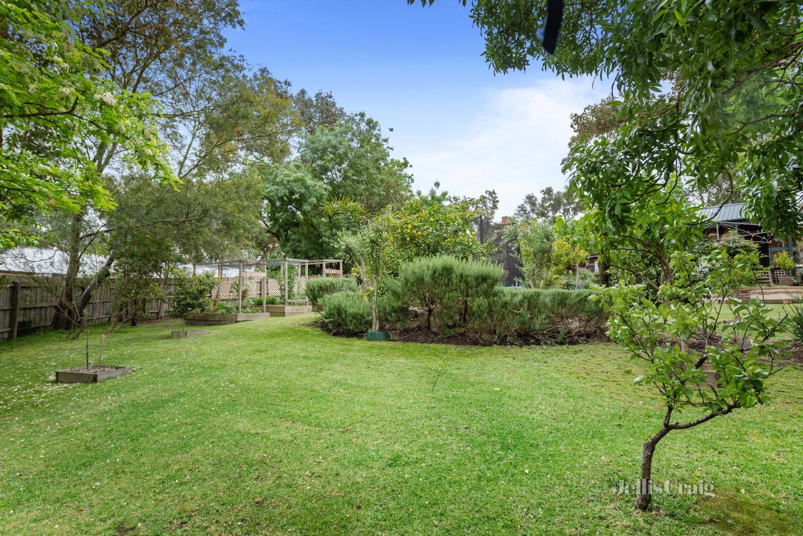 8 Forbes Street, Warrandyte image 5