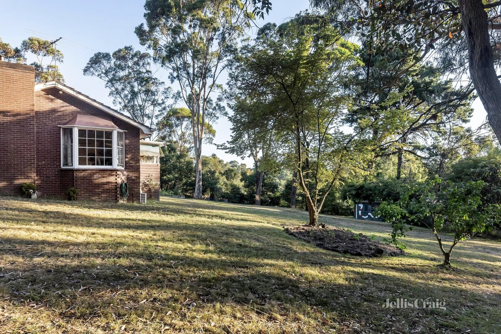 8 Heads Road, Donvale image 8