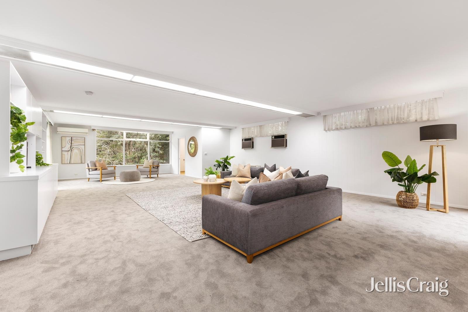 8 Honybun Court, Donvale image 5