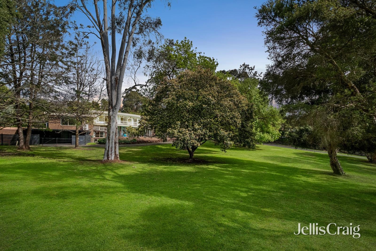 8 Honybun Court, Donvale image 16