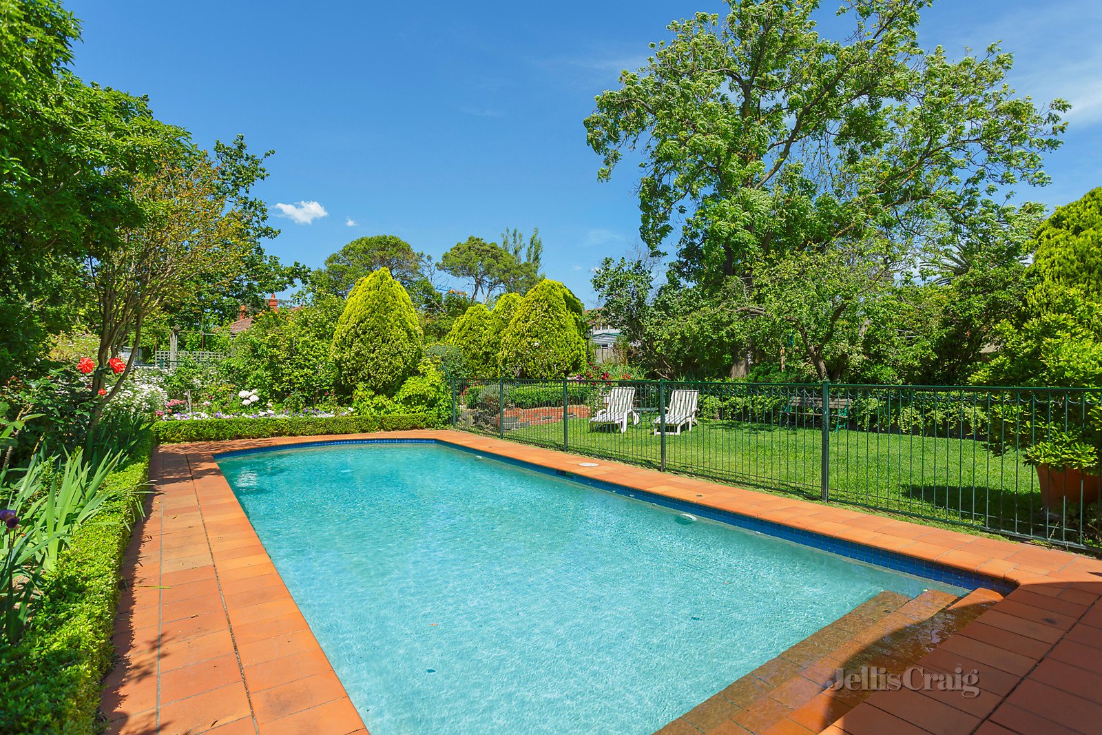 8 Kenilworth Grove, Glen Iris image 4